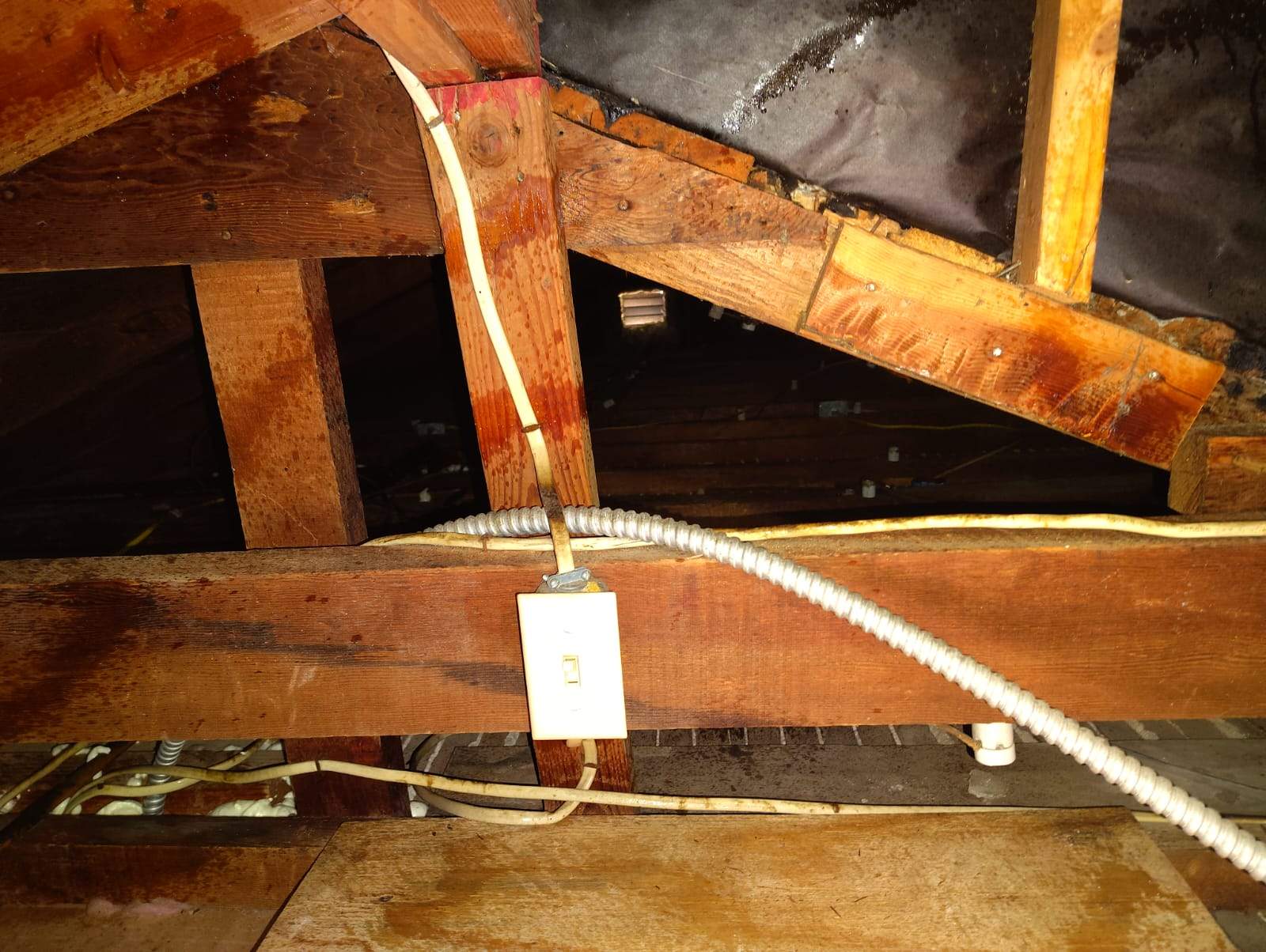 Project by Advanced Attic Solutions by Advanced Attic Solutions