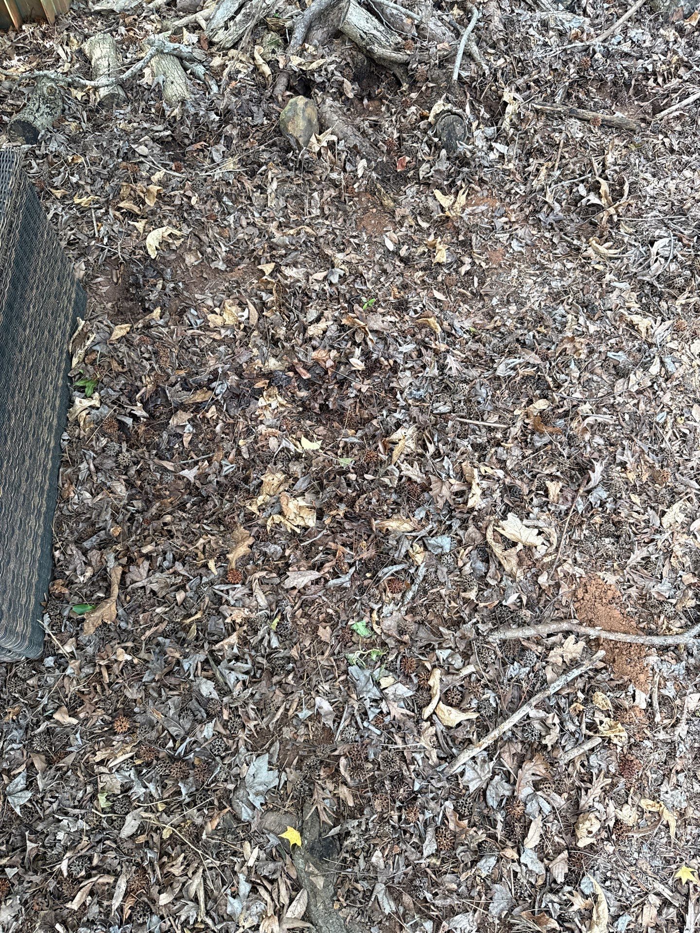 Project in Matthews by Badger Hauling