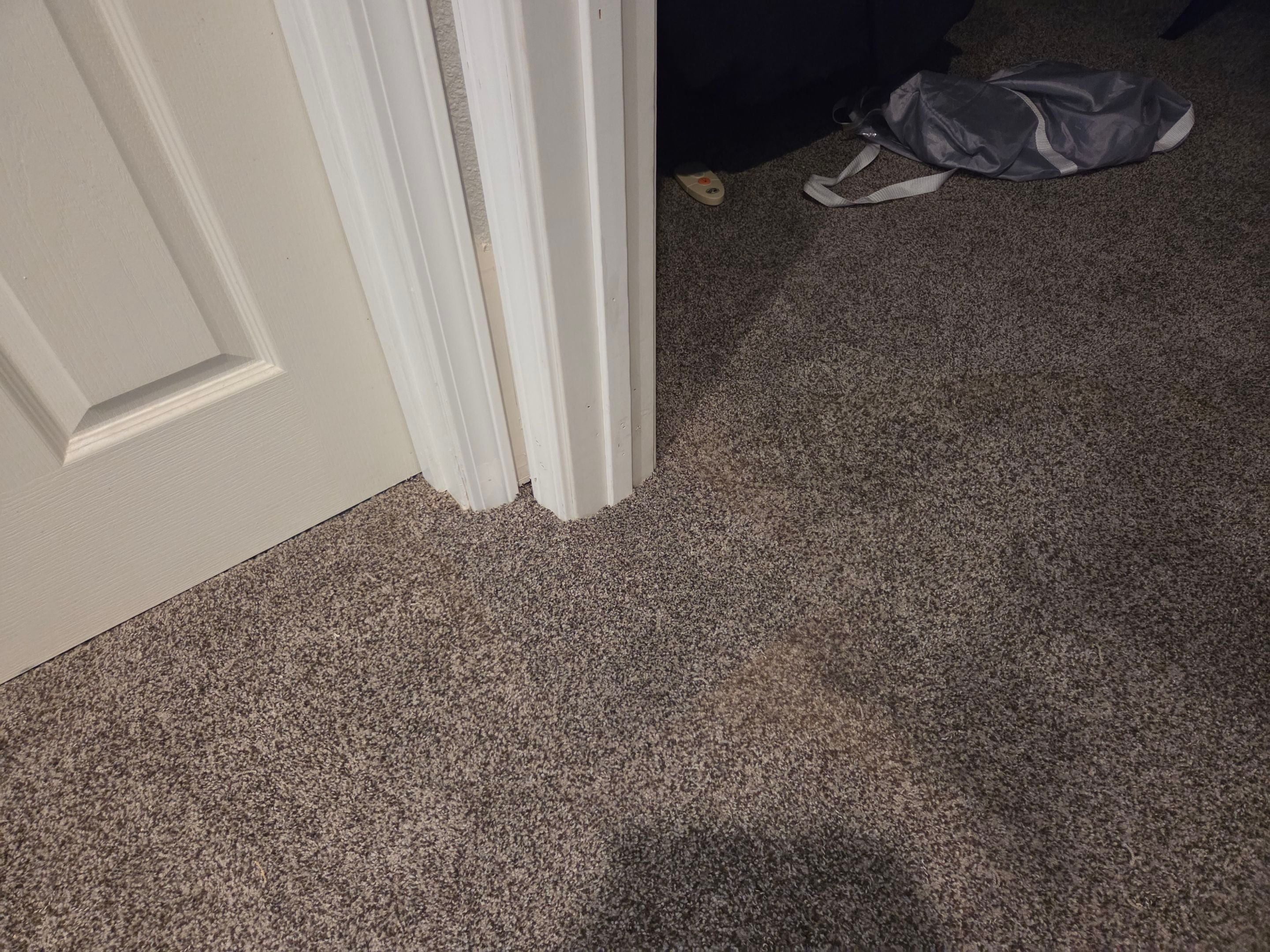 Bonded Insert, Carpet Repair in Folsom by Ardent Carpet Restore LLC
