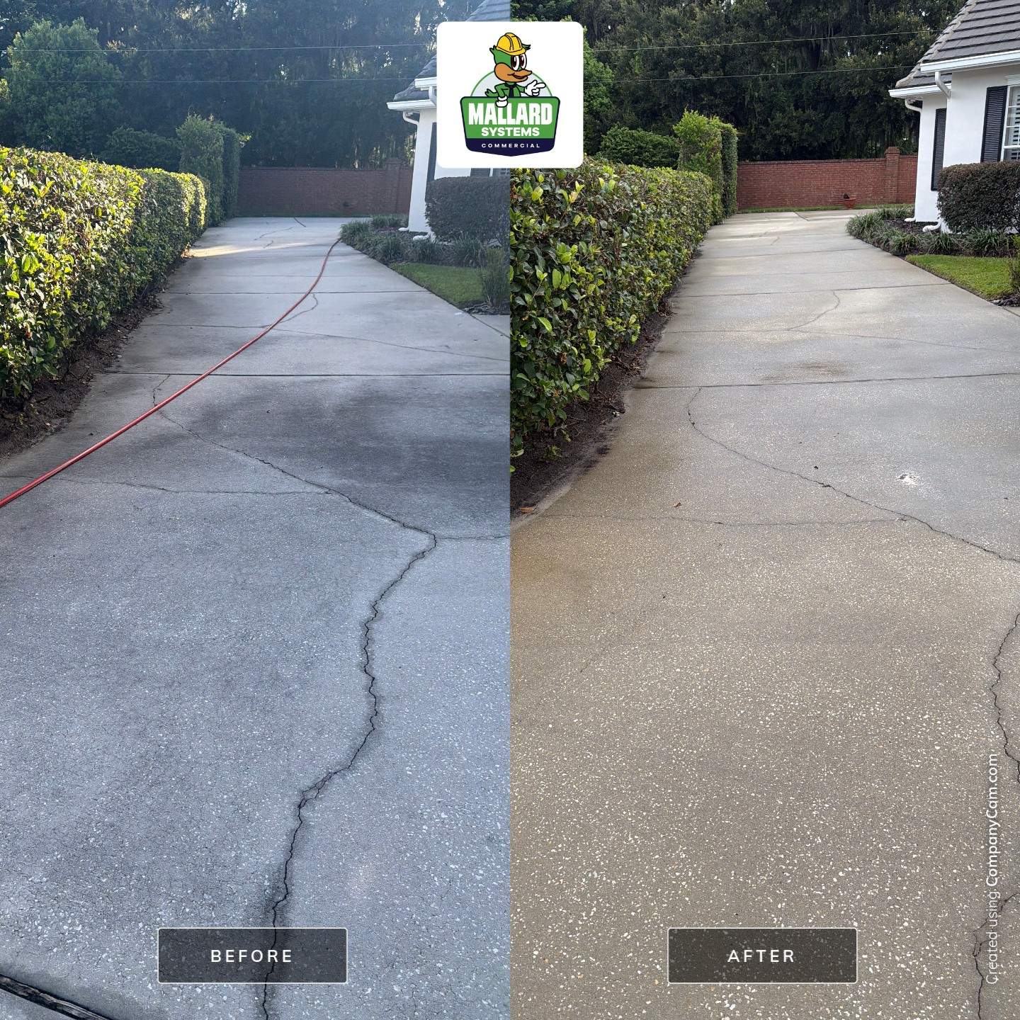 Roof, Exterior, Driveway, Walkways, & Sidewalk Cleaning by Mallard Systems