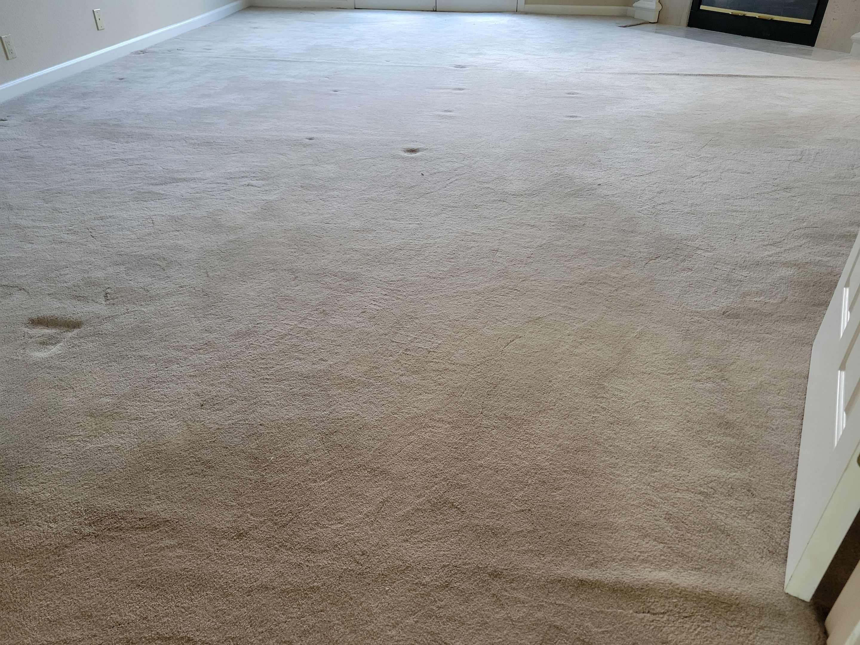 Carpet Re-stretch & Cleaning in Davis by Ardent Carpet Restore LLC