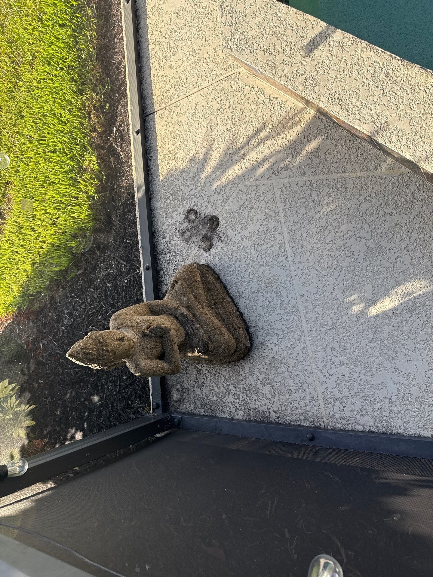 Trevesta Pool Deck & Exterior Cleaning Transformation by Sunshine AquaWash
