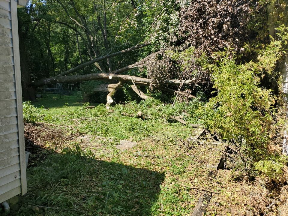 Storm Damaged Tree Removal  by Mike Jones & Sons Tree Service LLC 