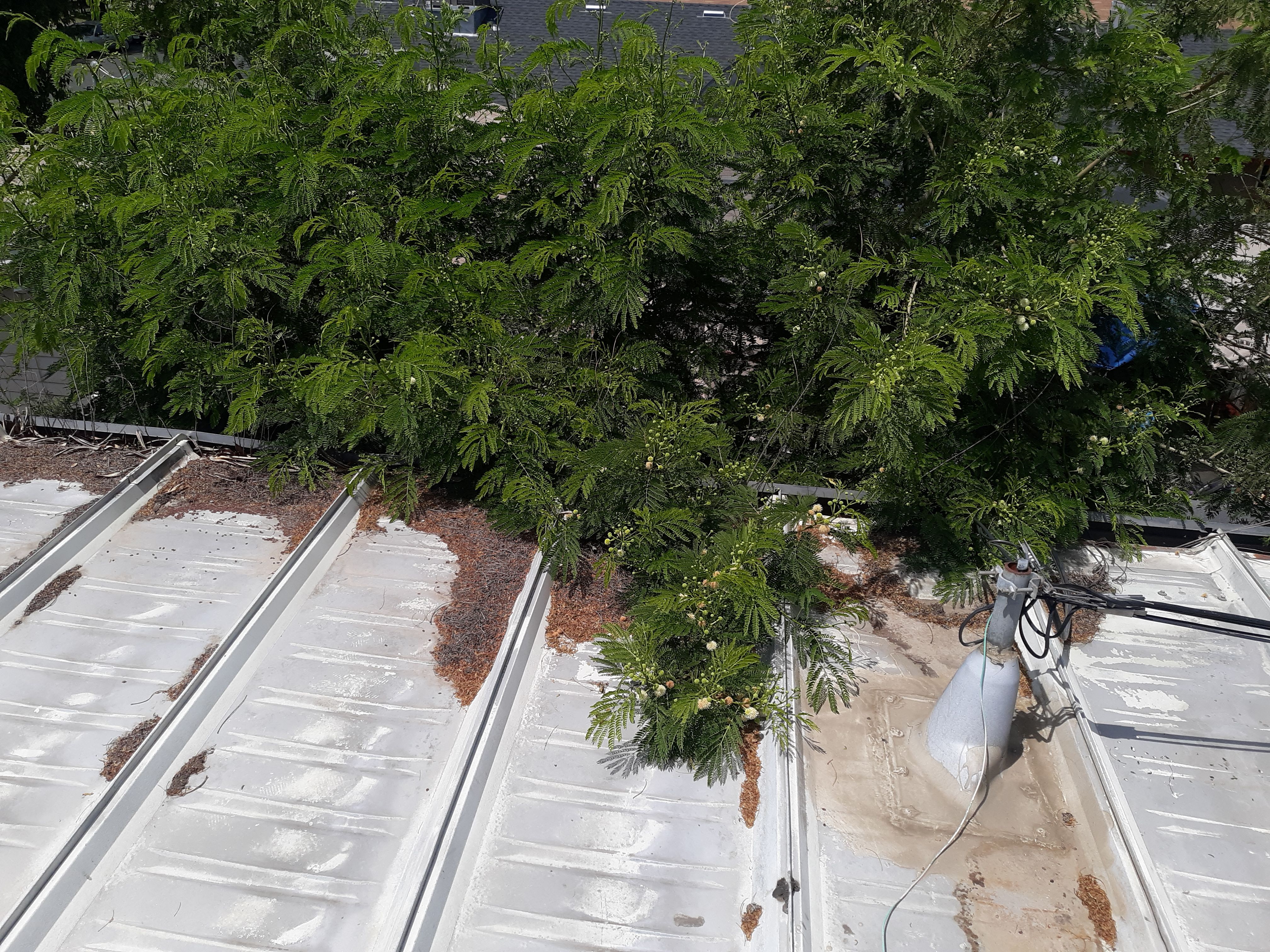  Chevron Gas Station by Straight Edge Roofing Inc