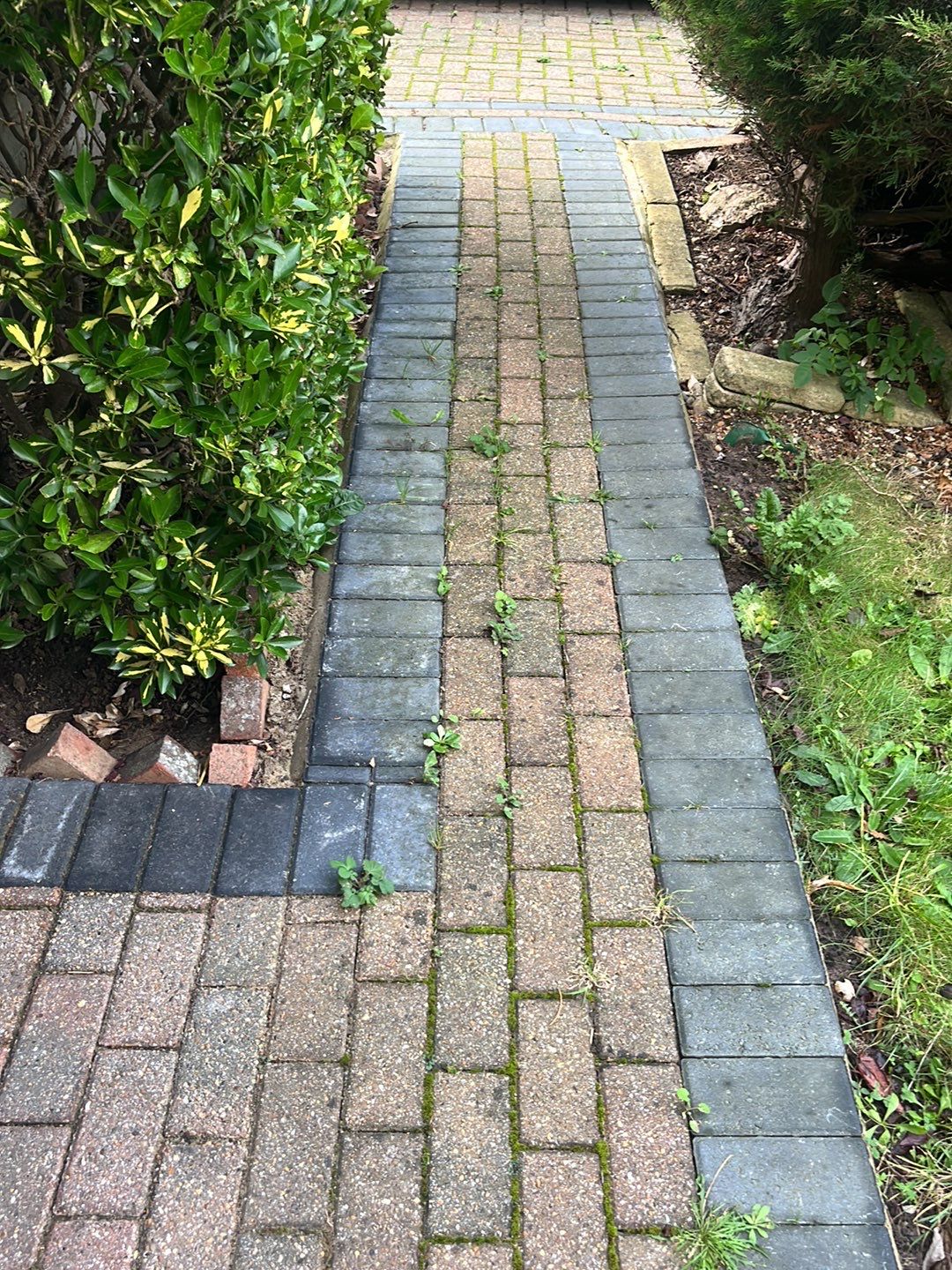 Exterior Clean - Roof - Patio - Driveway using Honda 15lpm Low Pressure Washing Machine by Ges Exterior Cleaning ltd