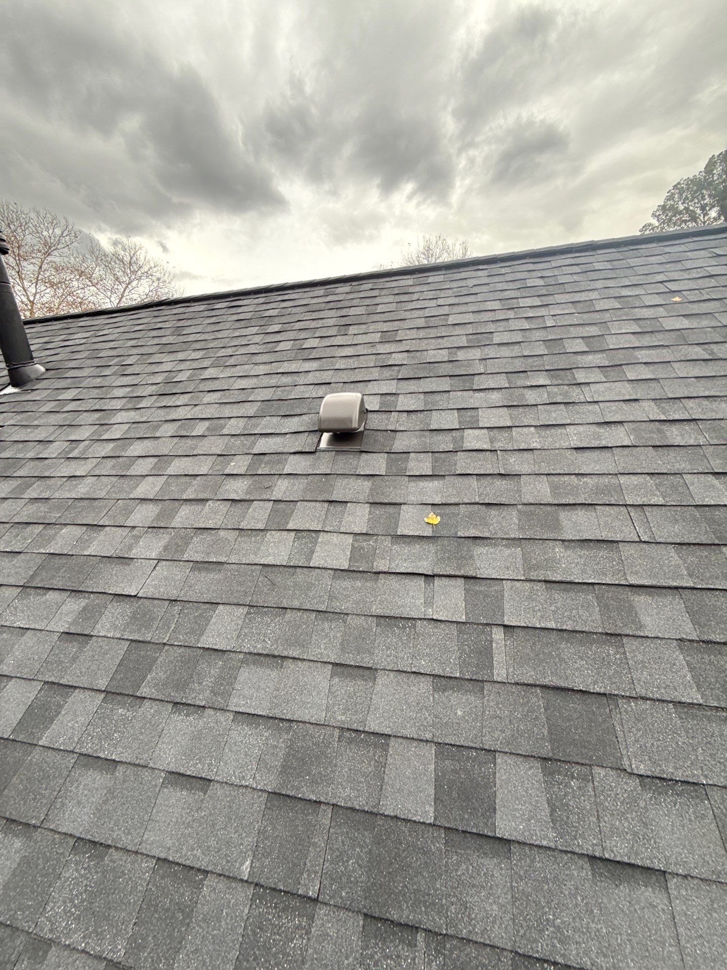 Alexandria :Residential Roof Replacement with CertainTeed Landmark Pro in Max Def Moire Black  by RM Banning, Inc.