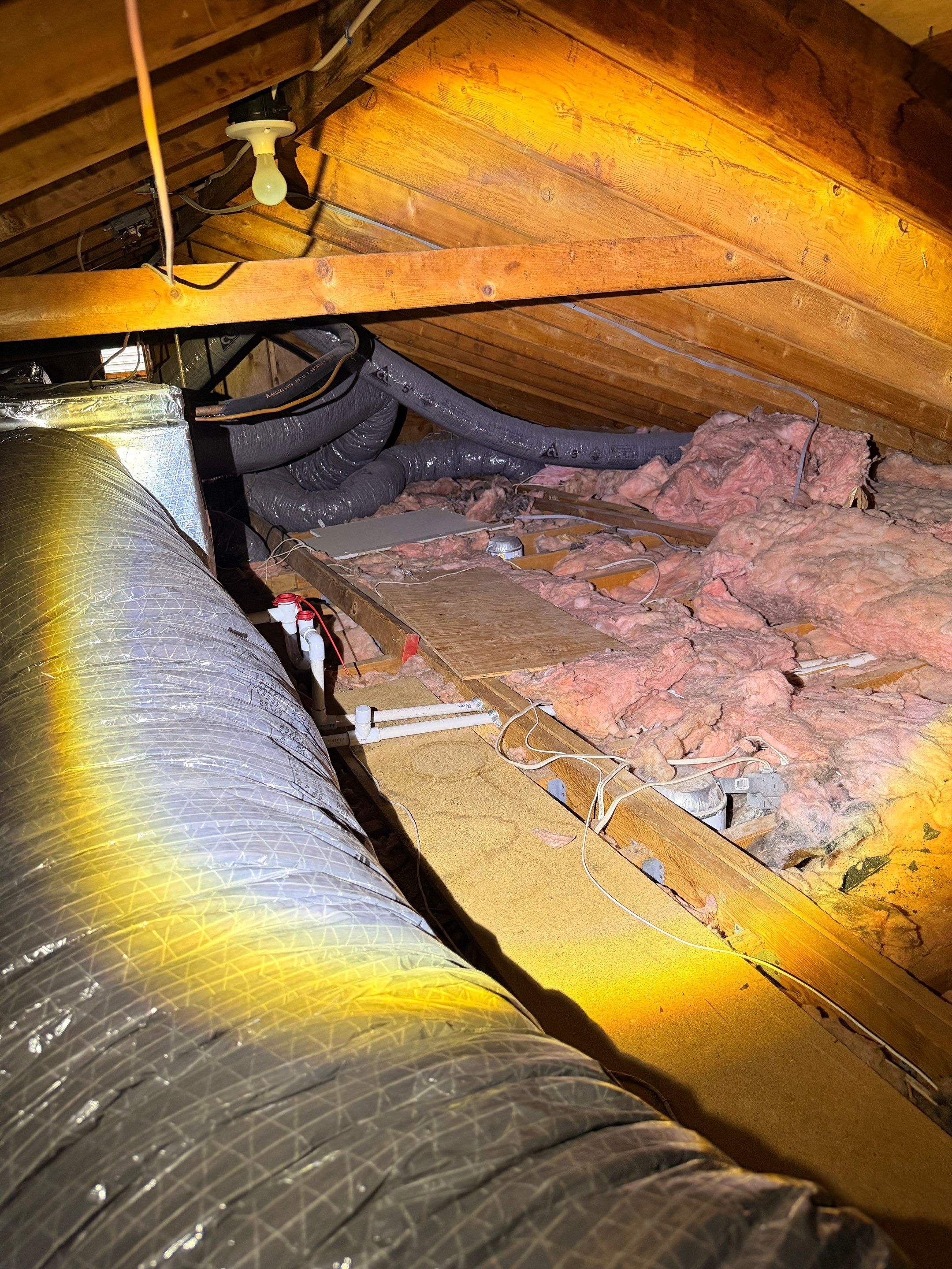 Ceiling Water Damage Mitigation and Structural Drying in Holbrook by Newhouse Restoration