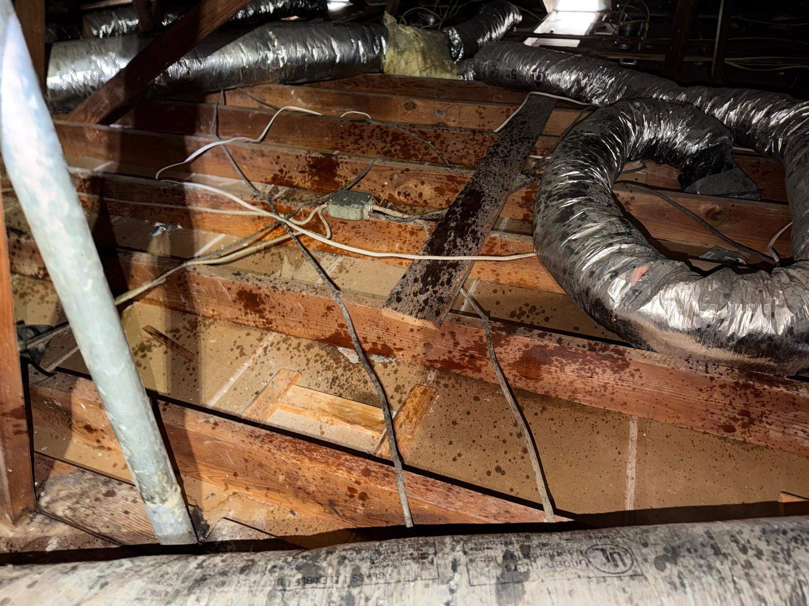 Project in Anaheim by Advanced Attic Solutions