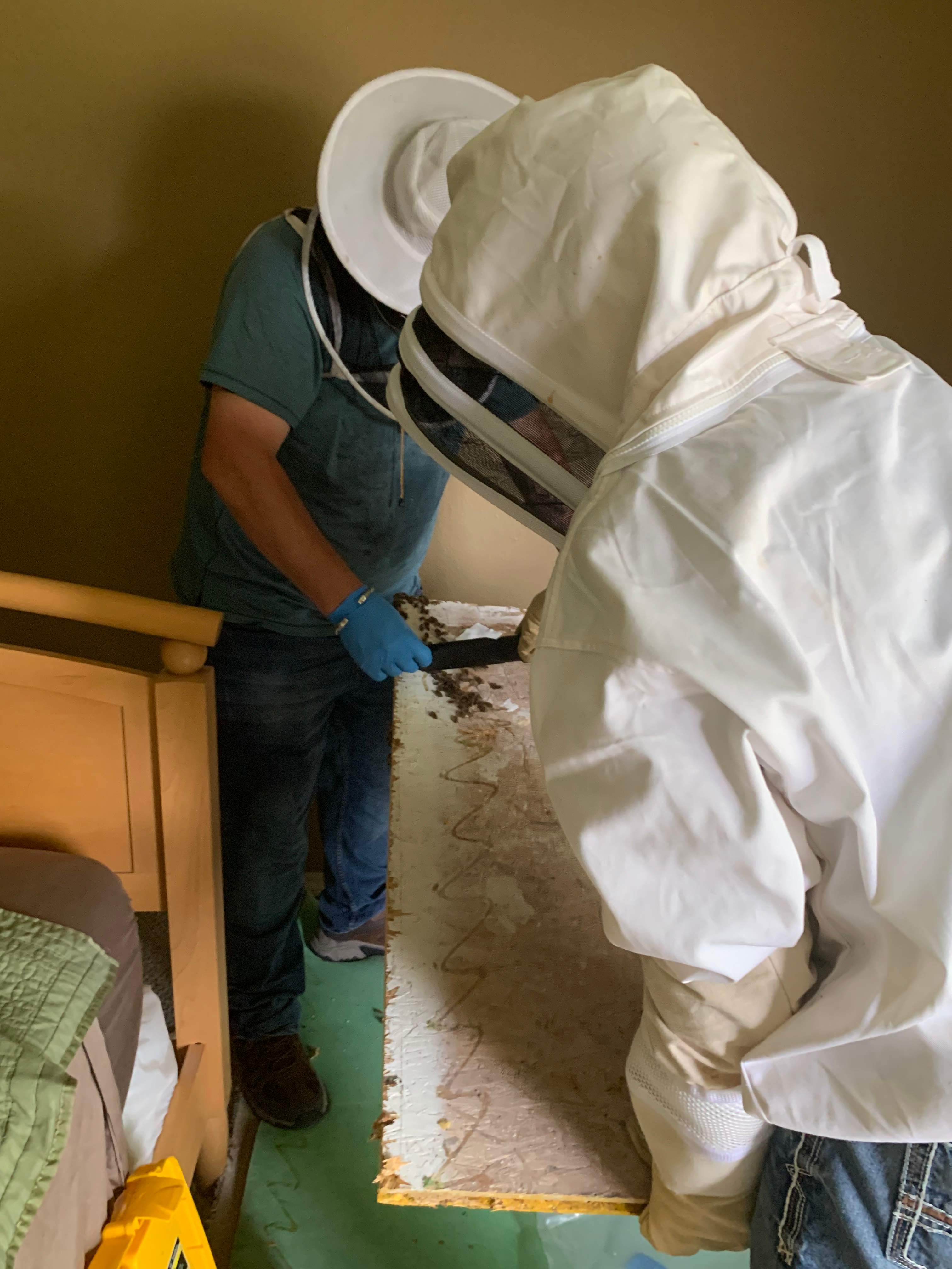 Beekeepers-to-be by Rockwall Honey Bee Company