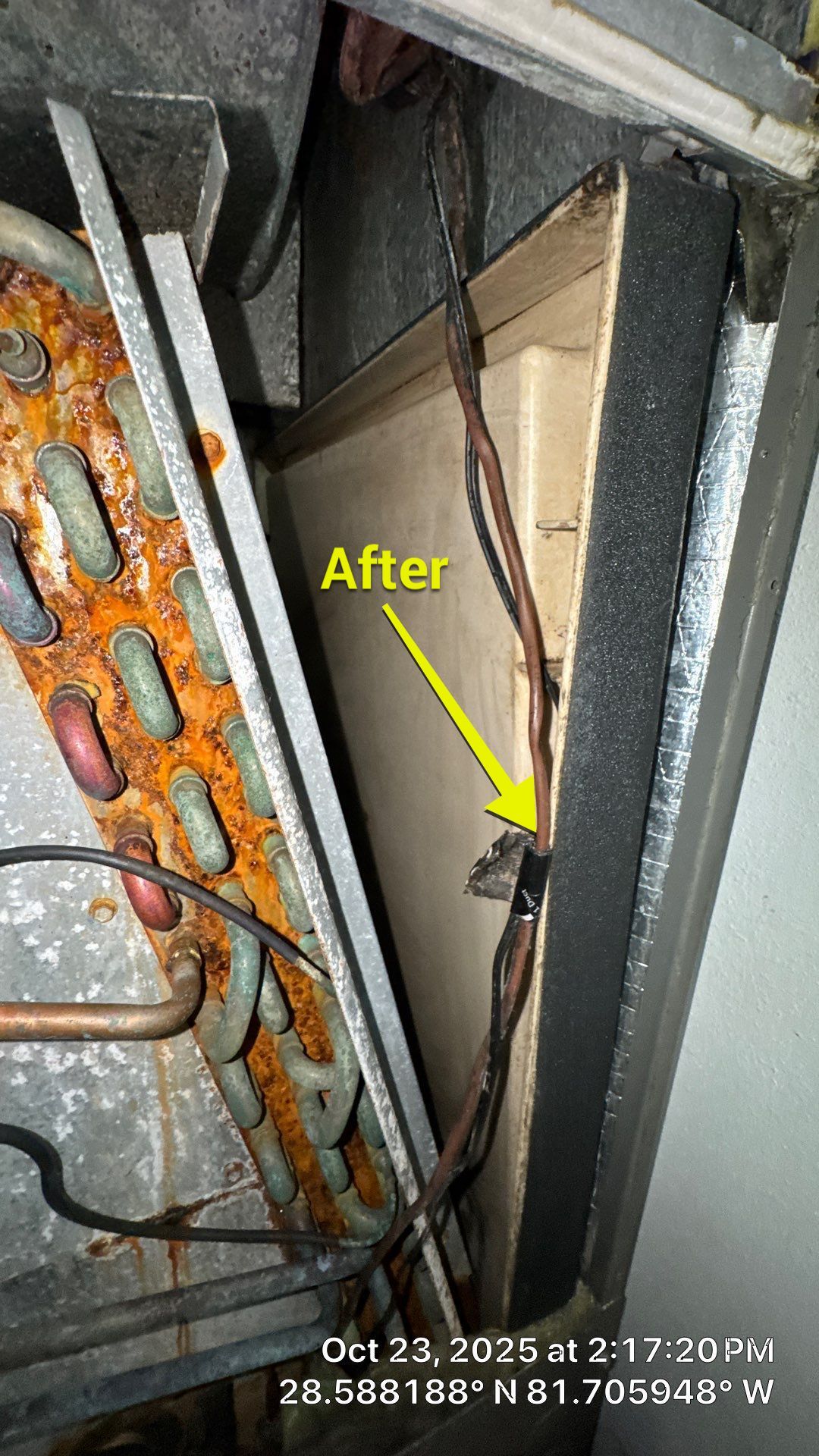 AIr Duct and Dryer Vent Cleaning in Montverde by Hygienic Air, Inc