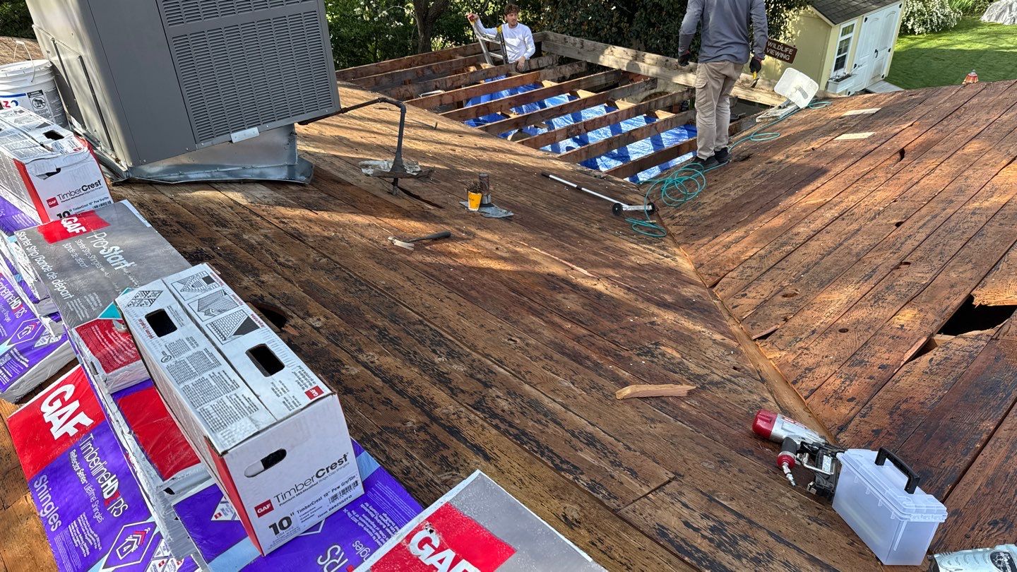 Willa Holmstock by NuLead Construction Inc