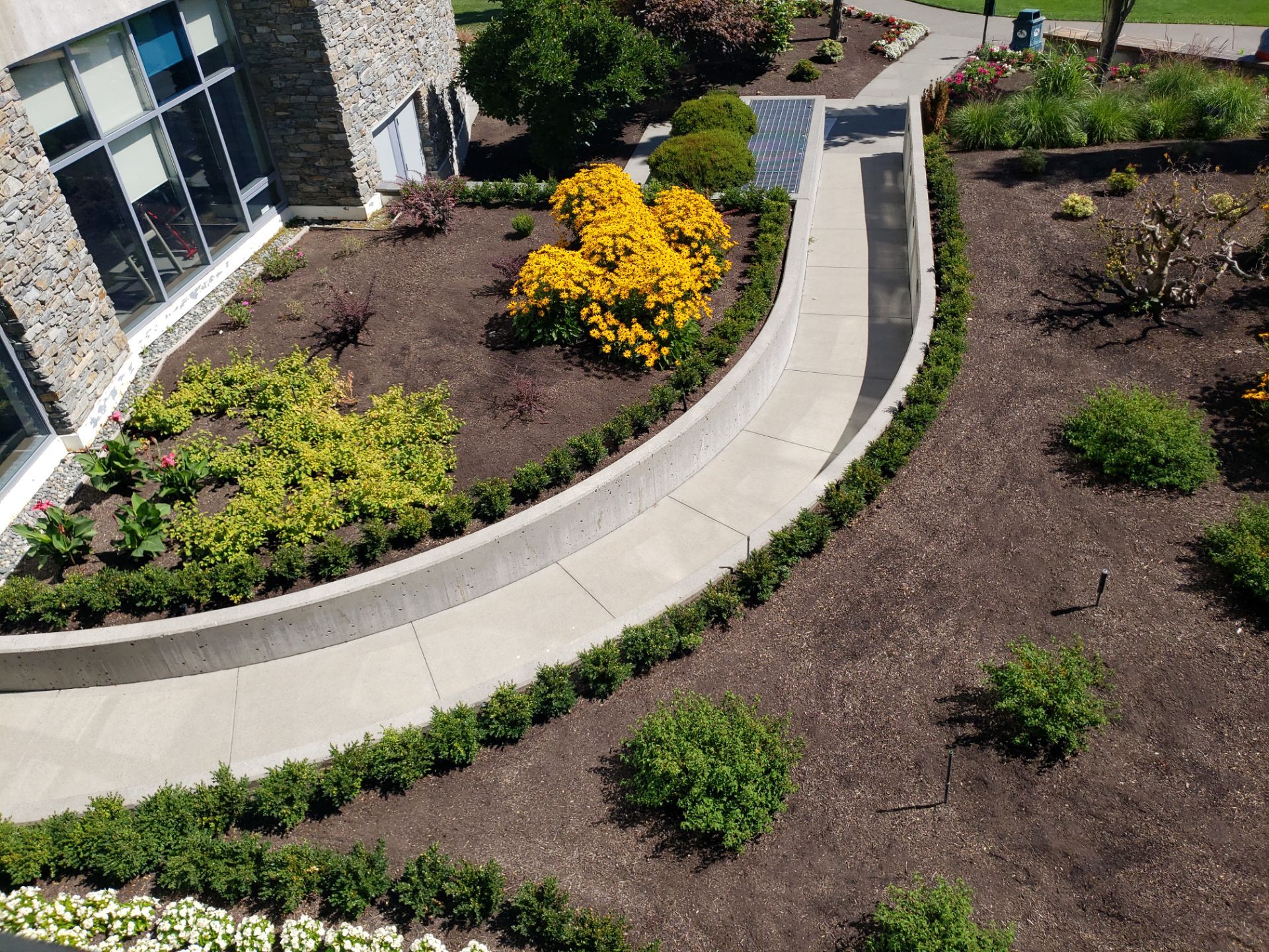 Sidney Pier by Habanero Garden and Exterior Care