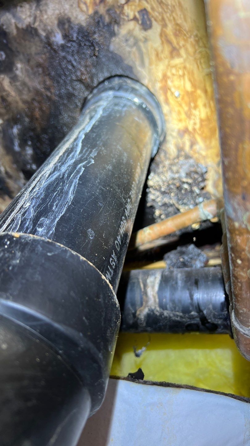 Mold Remediation by Accountable Home Services