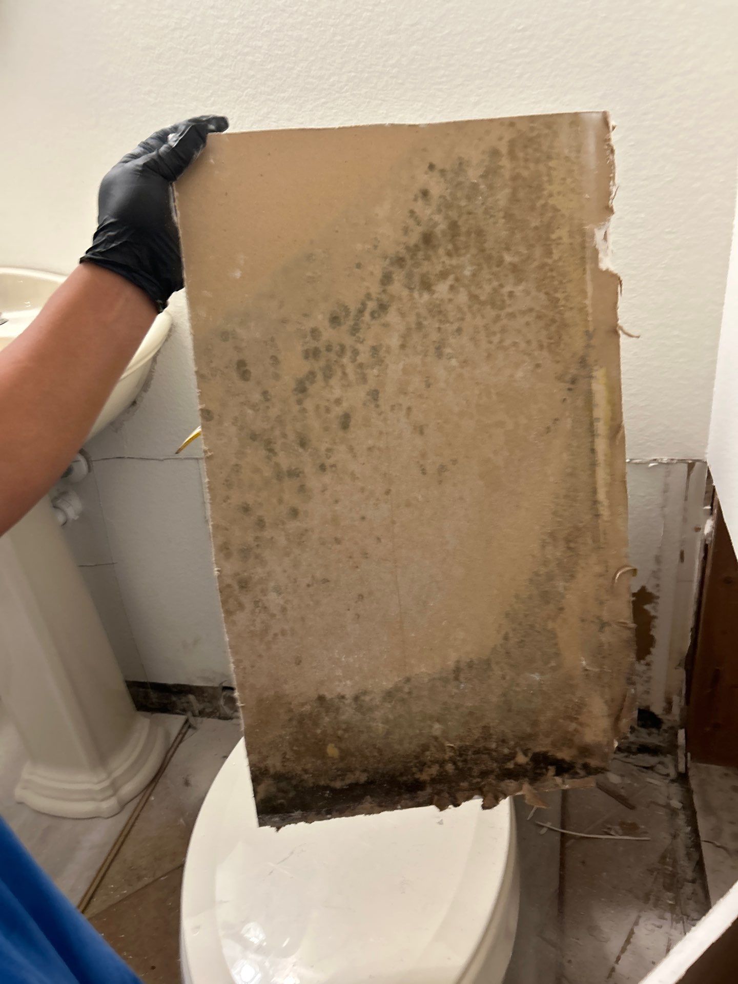 Water Damage Restoration In Apollo Beach, Florida by Ampm Restoration Services 