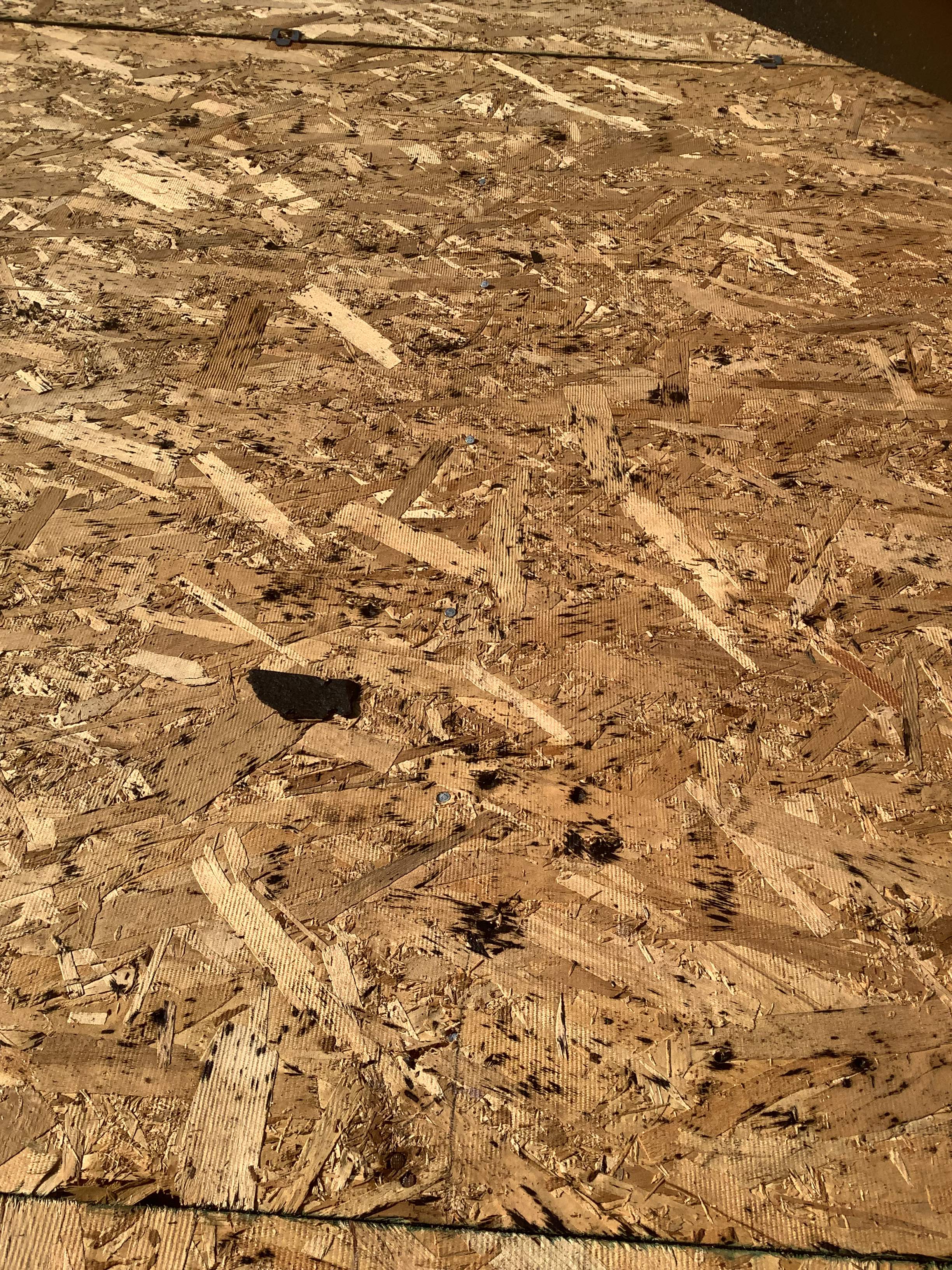 Before and After Photos by The Dantzler Group, Inc.