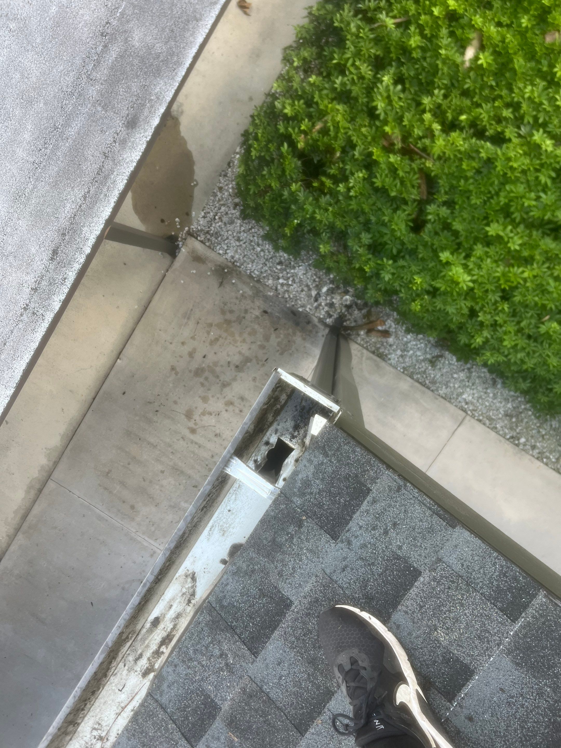 Professional Gutter Cleaning in Fort Myers FL by Gutter Professors