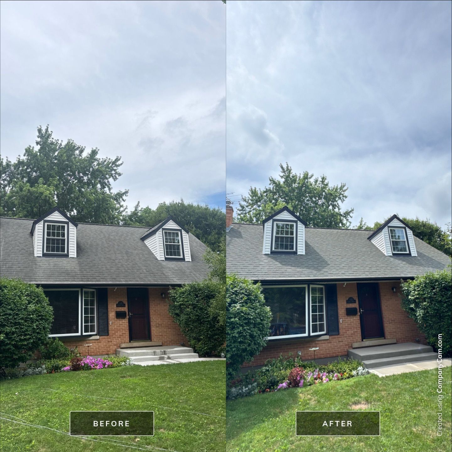 Project in Mt Prospect by Simmons Power & Soft Washing