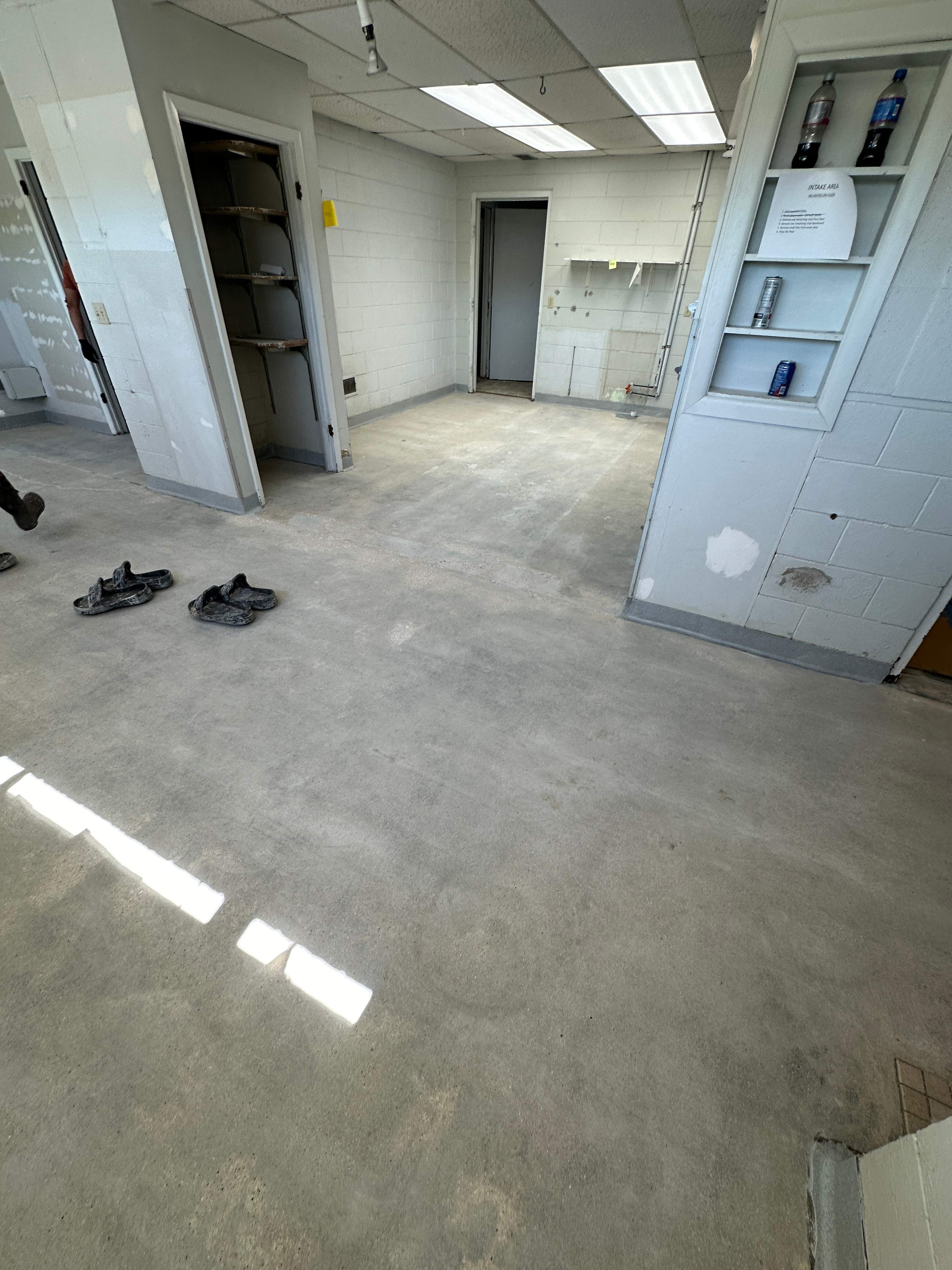 Steamboat Canine Shelter Normal by Loud Bros