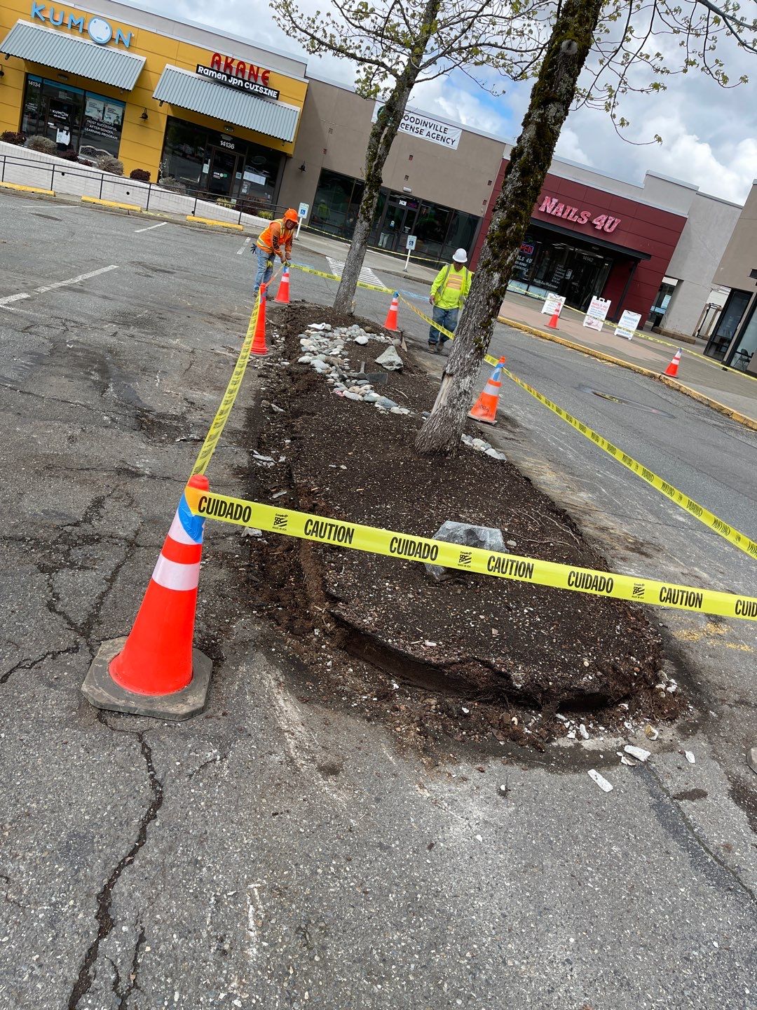 Colliers - Woodinville New Asphalt Parking Lot by Jireh Asphalt & Concrete Inc 
