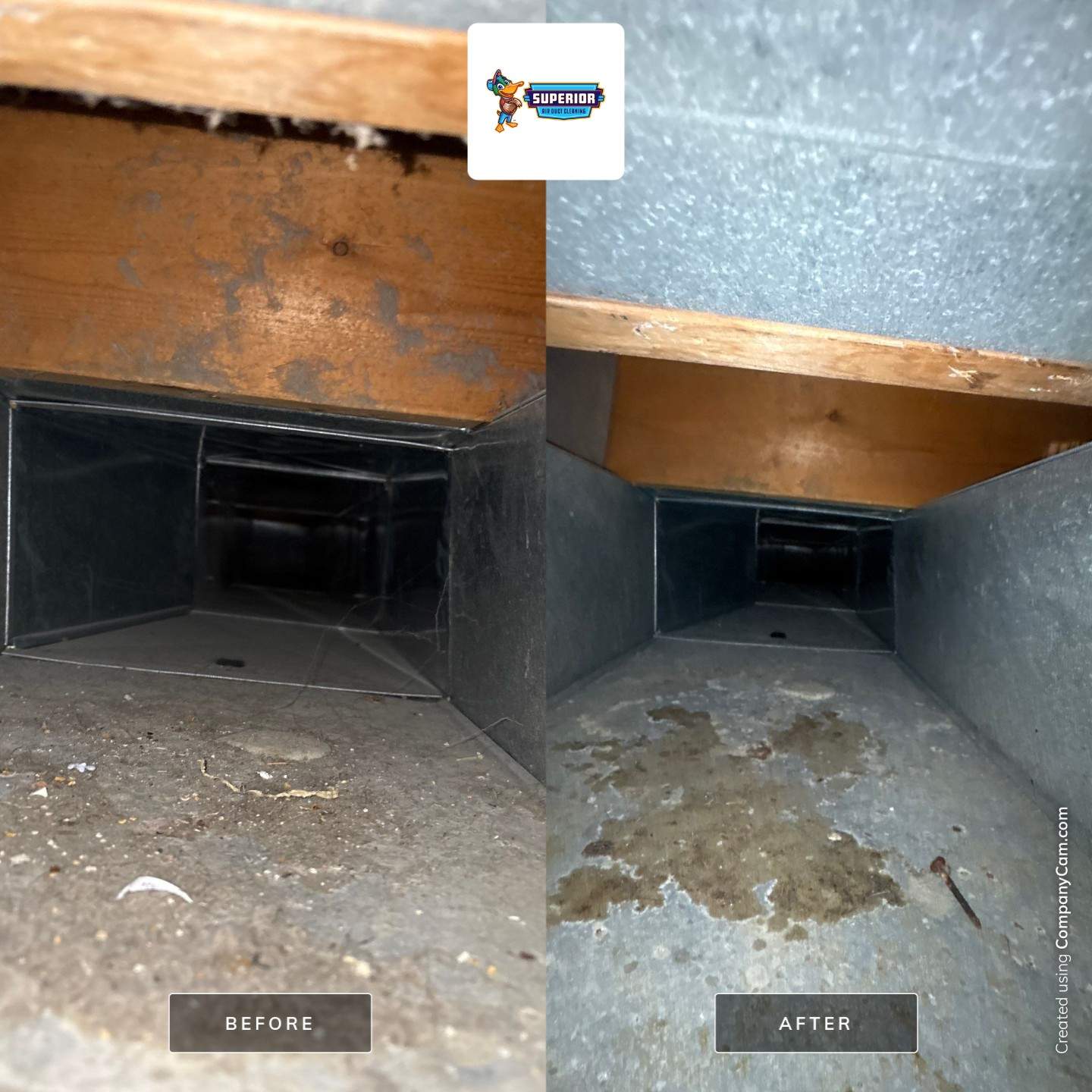 Evans City Air Duct Cleaning by Superior Air Duct Cleaning