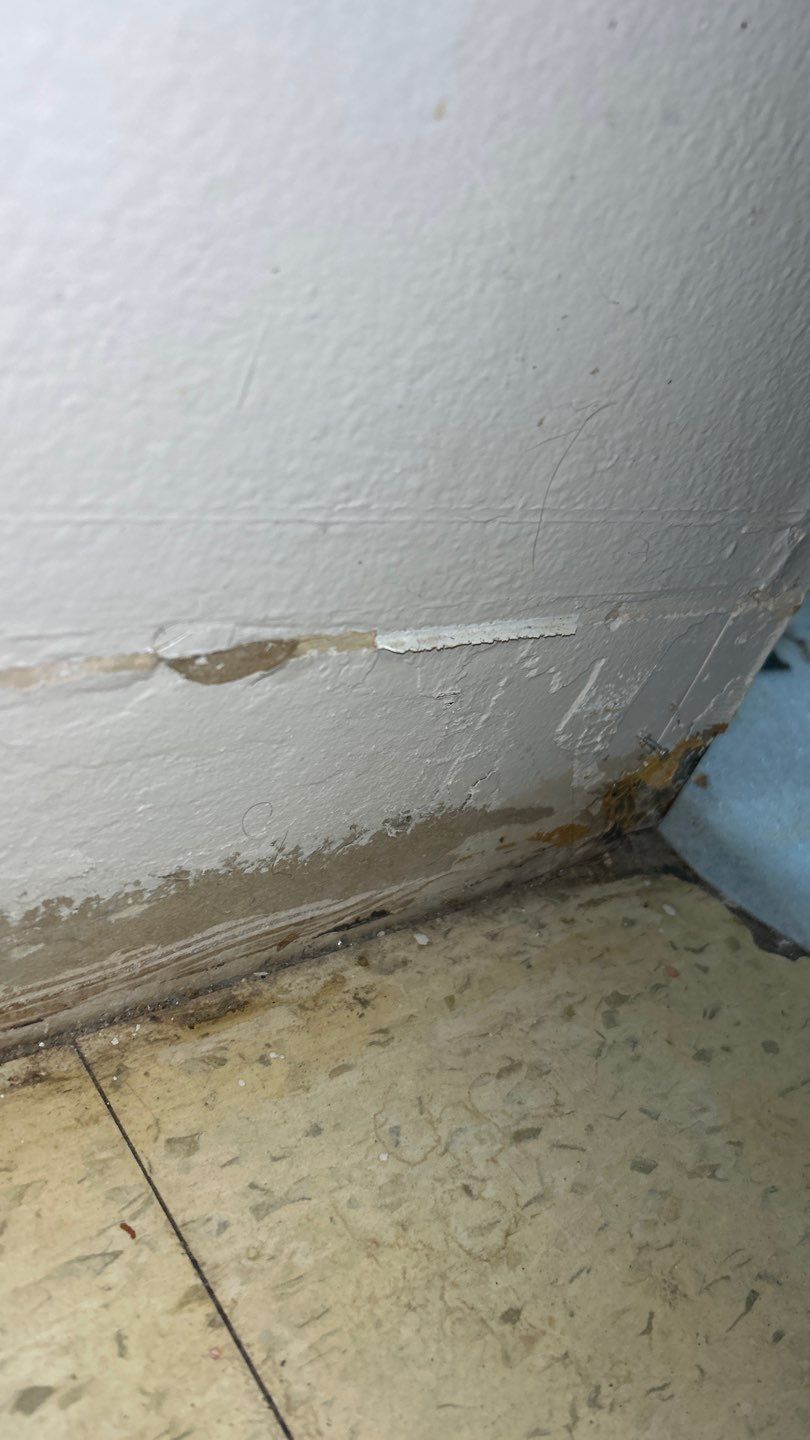 Mold Remediation by Accountable Home Services