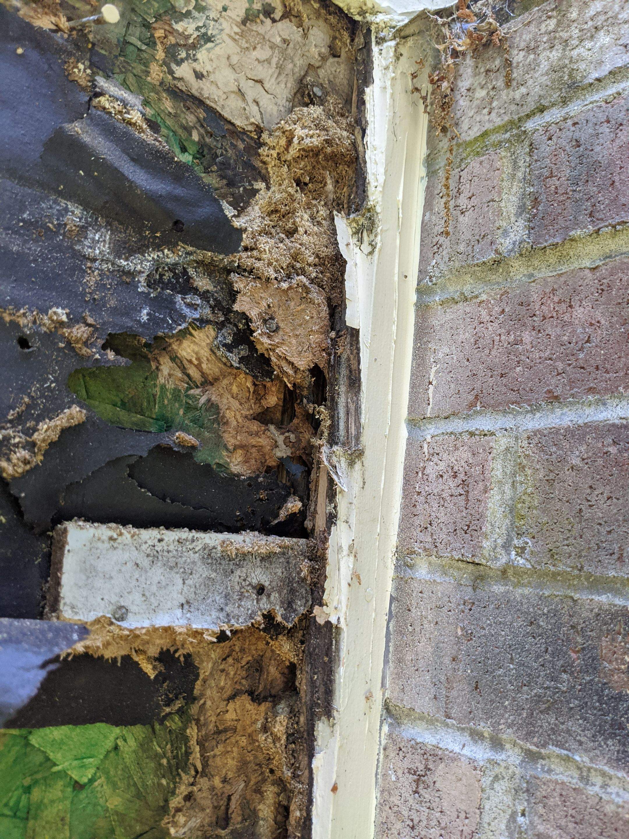 Siding Installation using Certainteed Monogram Siding by Loyalty Exterior Solutions 