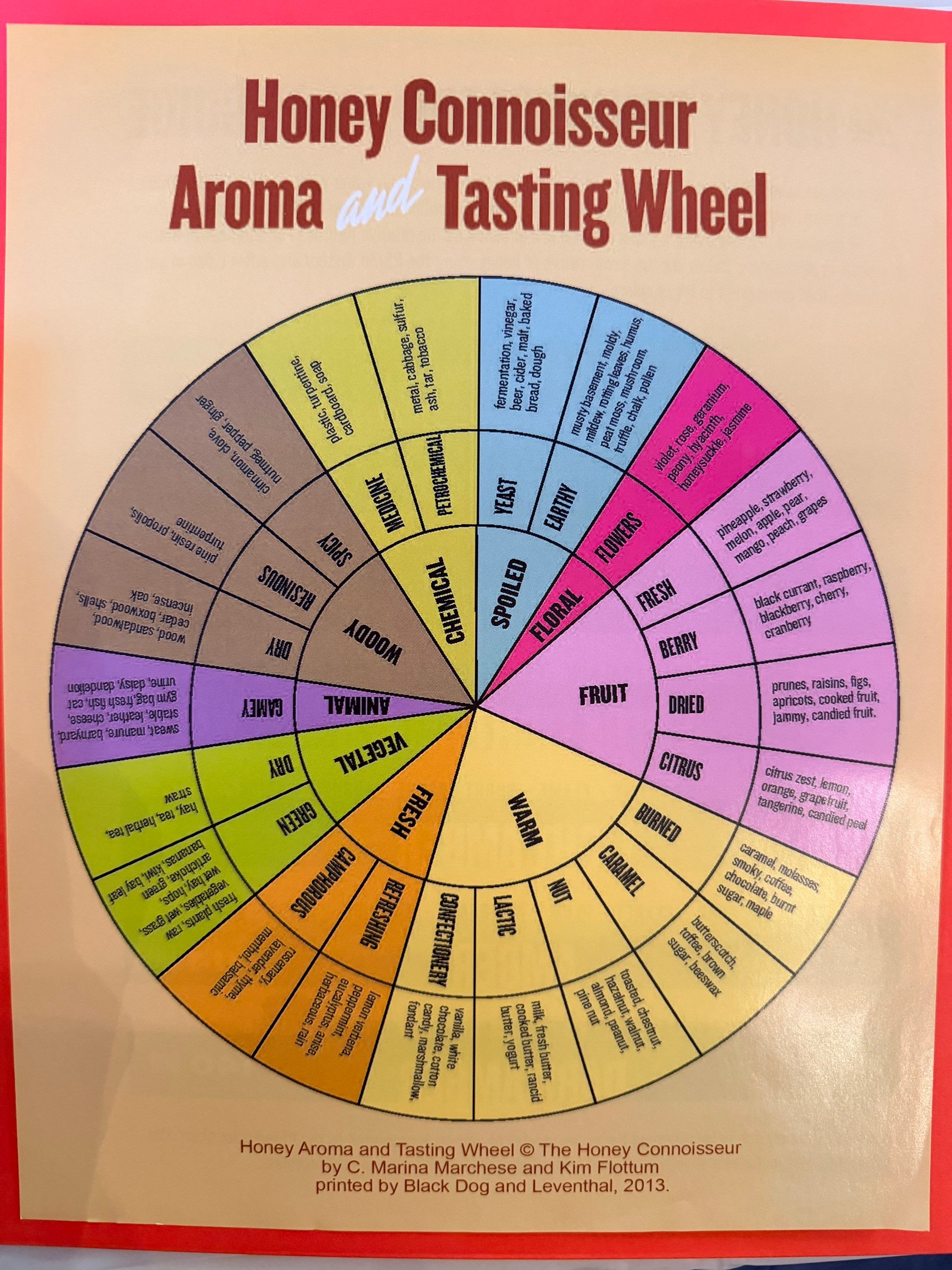 Sensory Honey Evaluation and Tasting Workshop in Dallas by Rockwall Honey Bee Company
