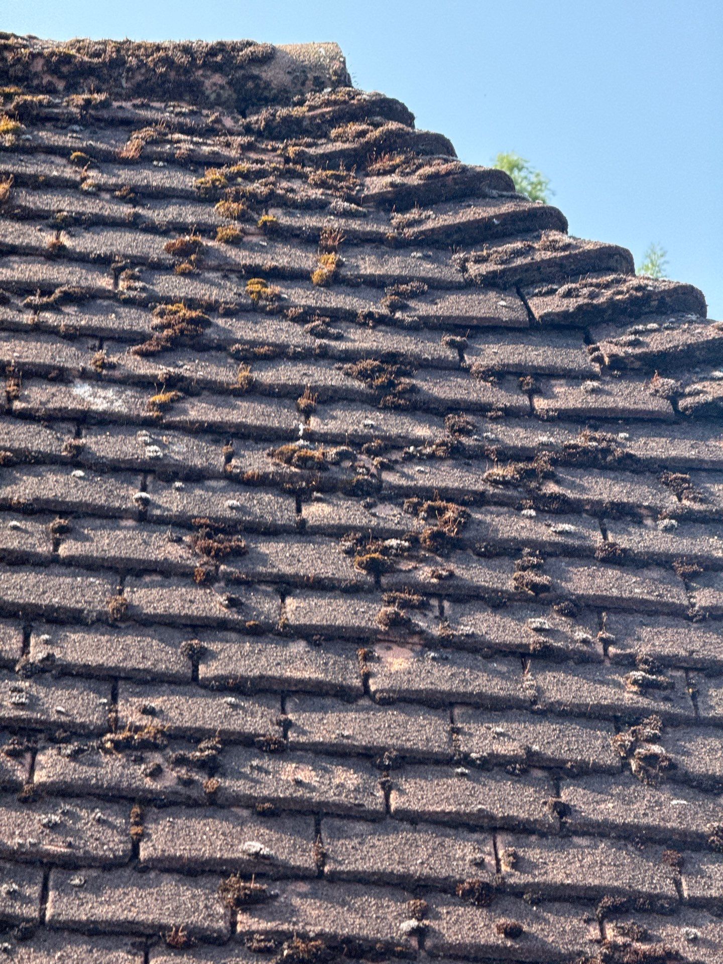 Roof Clean - Gutter Clean - Biocide Treatment by Ges Exterior Cleaning ltd