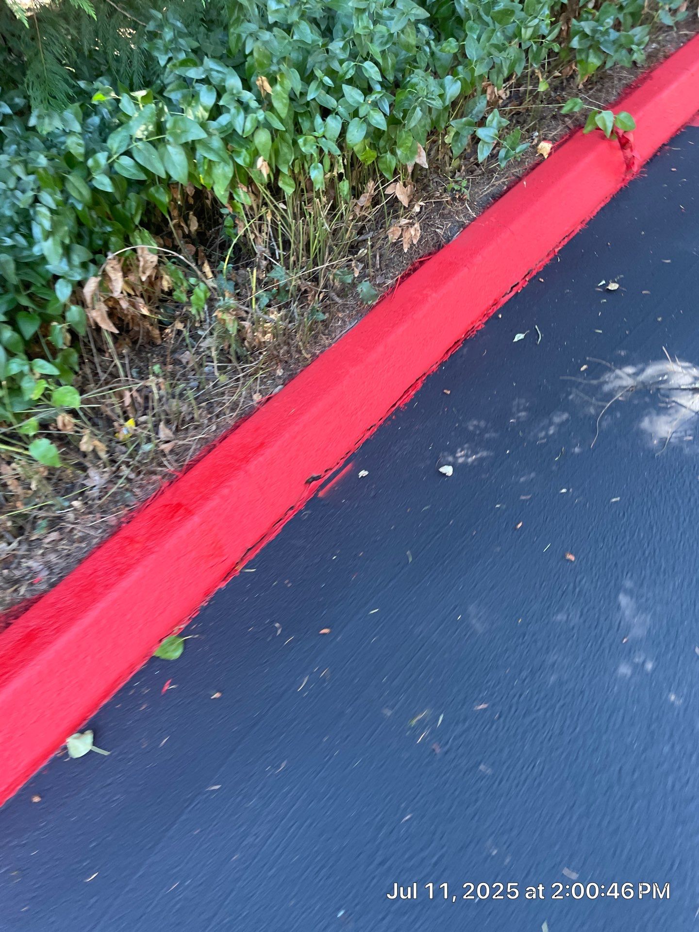 Curb Repaint | Seattle  by Jireh Asphalt & Concrete Inc 