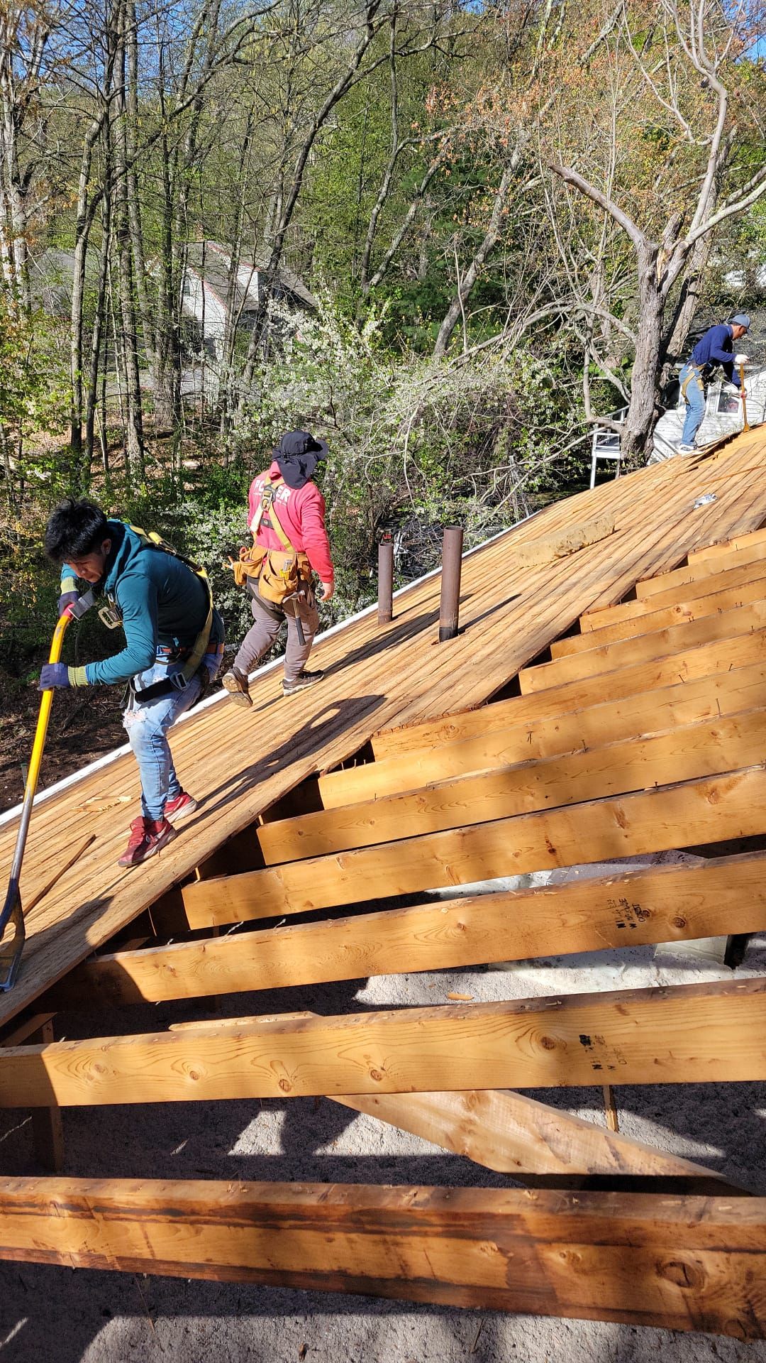 Roofing | Maynard by Mighty Dog Roofing of Greater Middlesex County