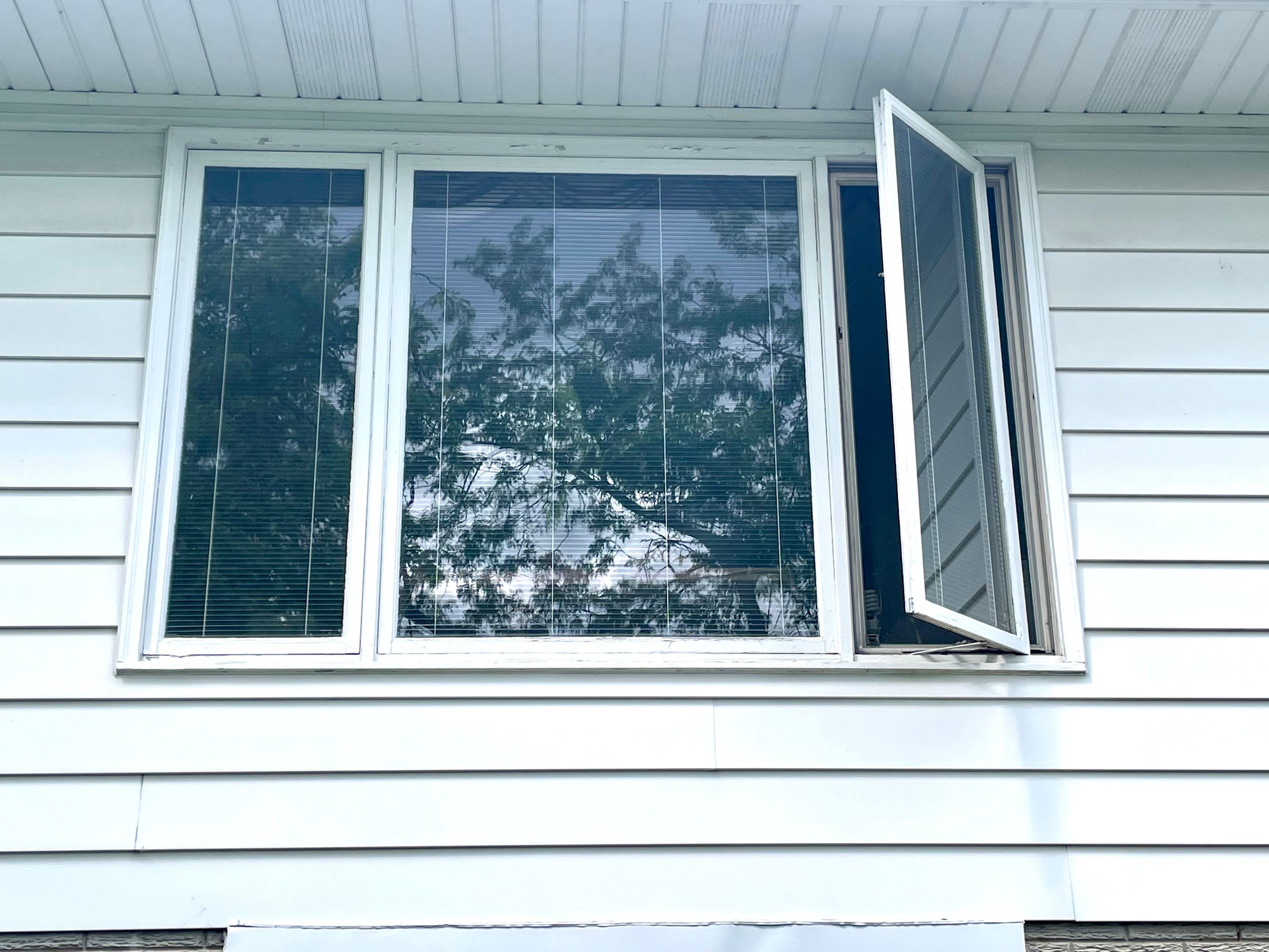 New Windows and Storm Door by 42 North Construction, LLC.