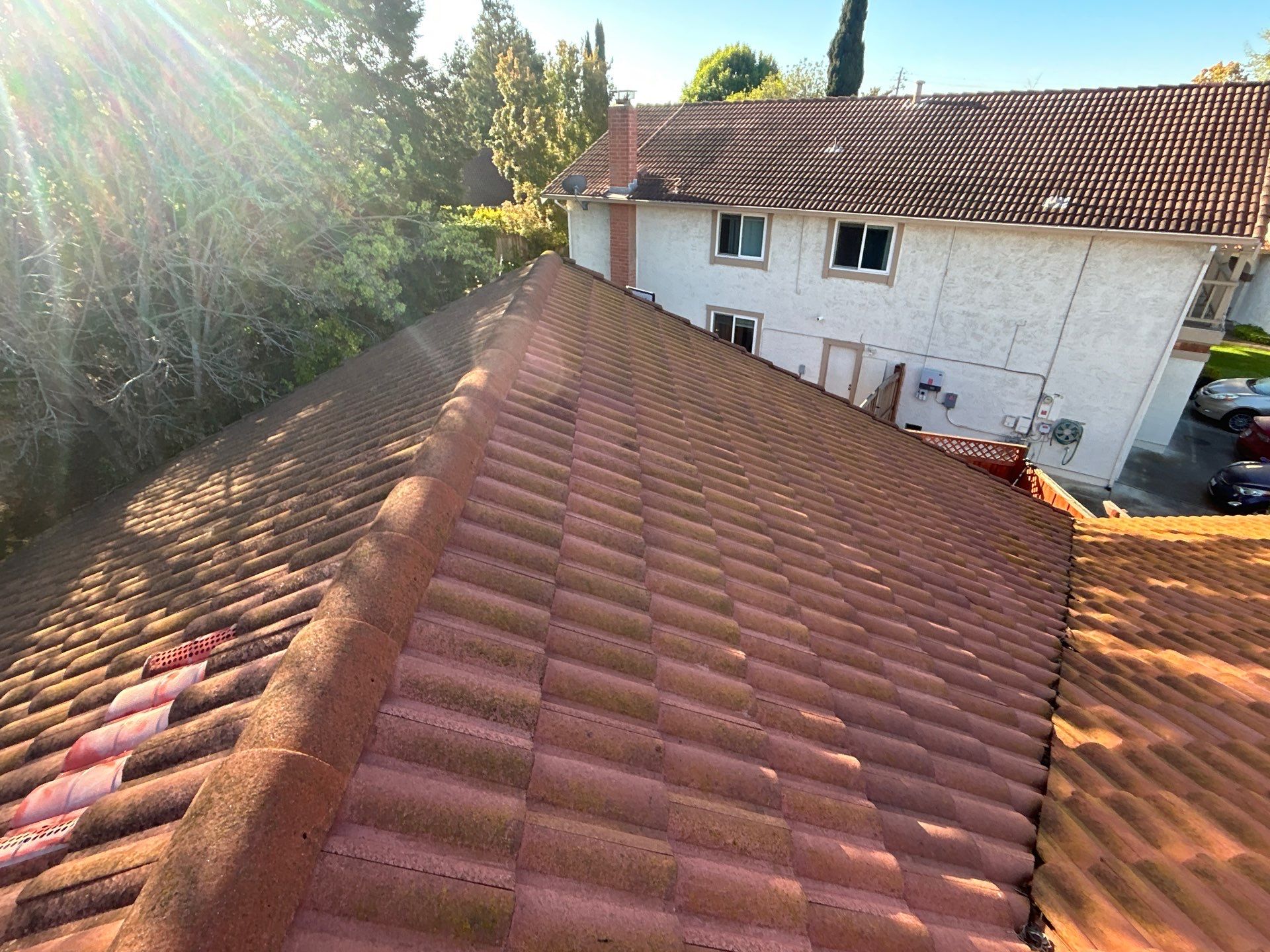 Insurance Renewal-Roof Cleaning by All One Solar Shine