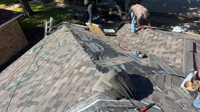Project in Allen