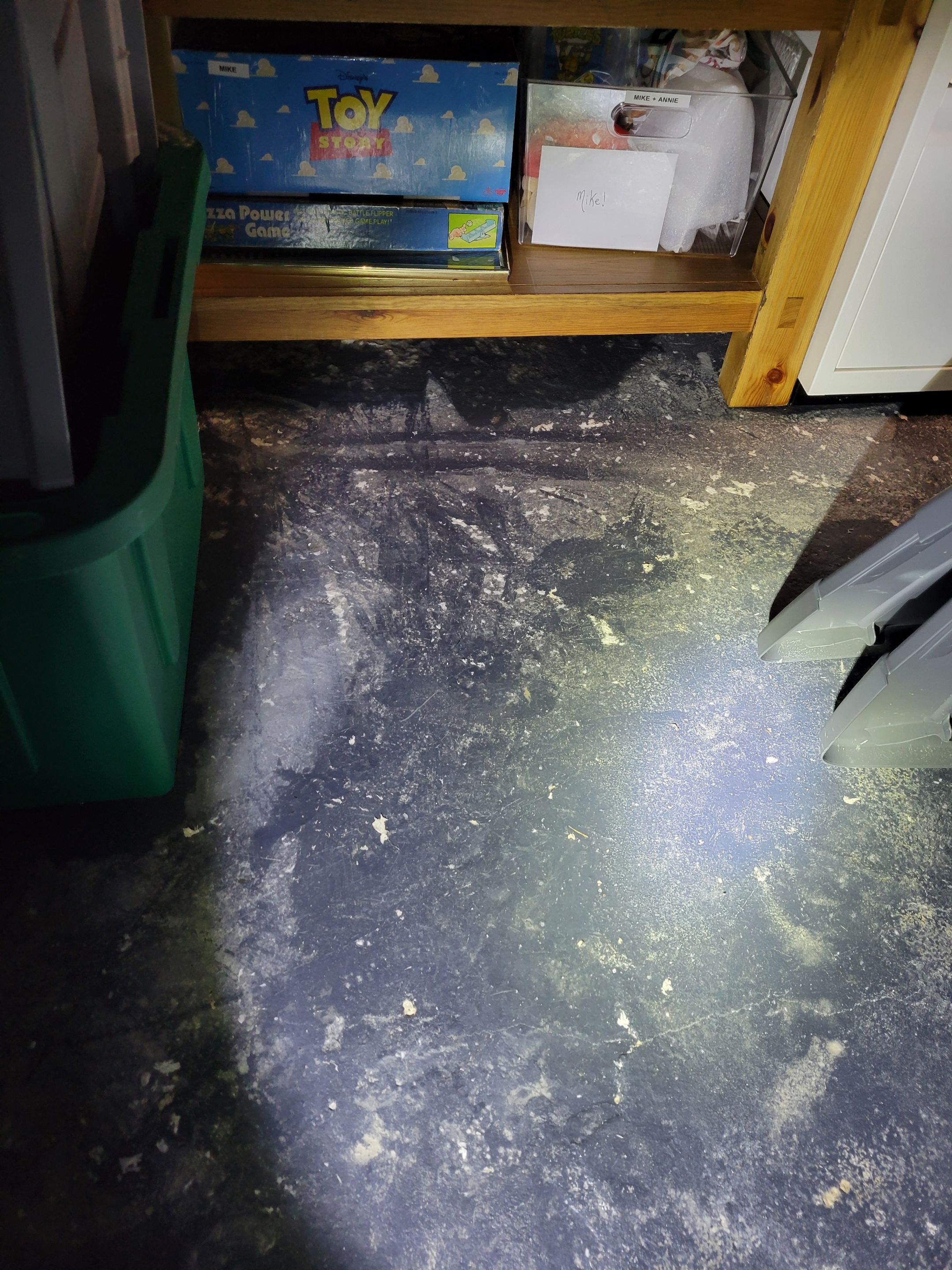 Crawlspace Sewage by Chicagoland Water Medics