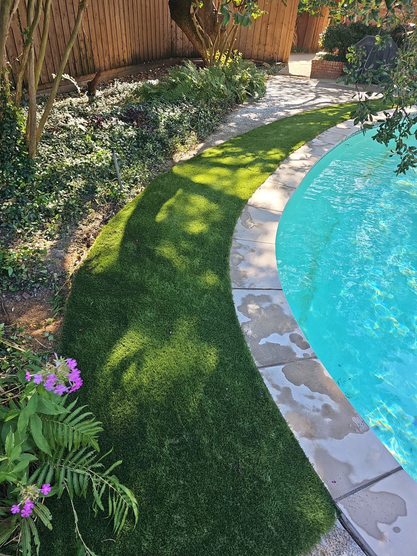Project in Dallas by Turf Concepts