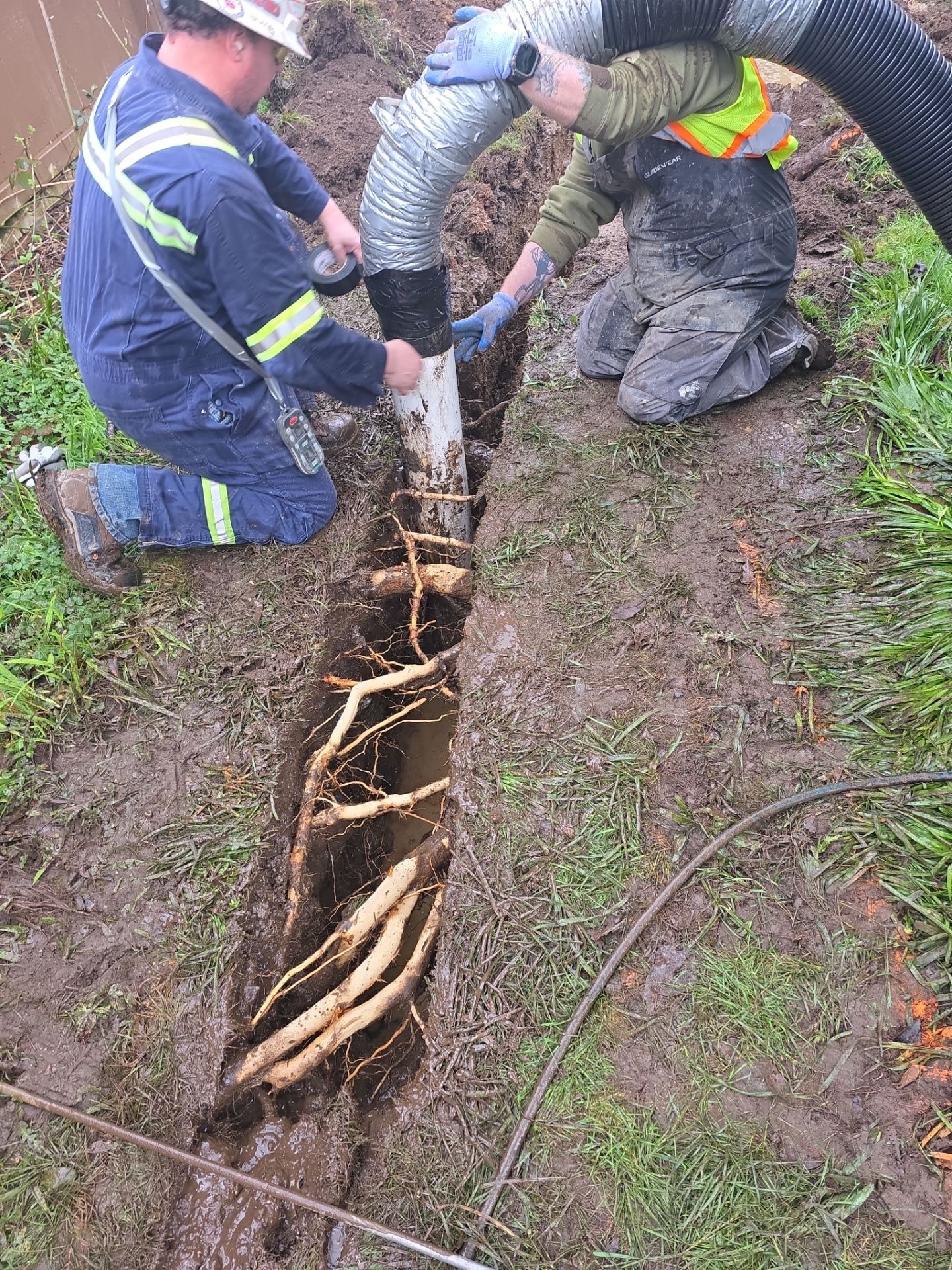 Residential Drainage System Installation in Renton by Sound Tree Care LLC