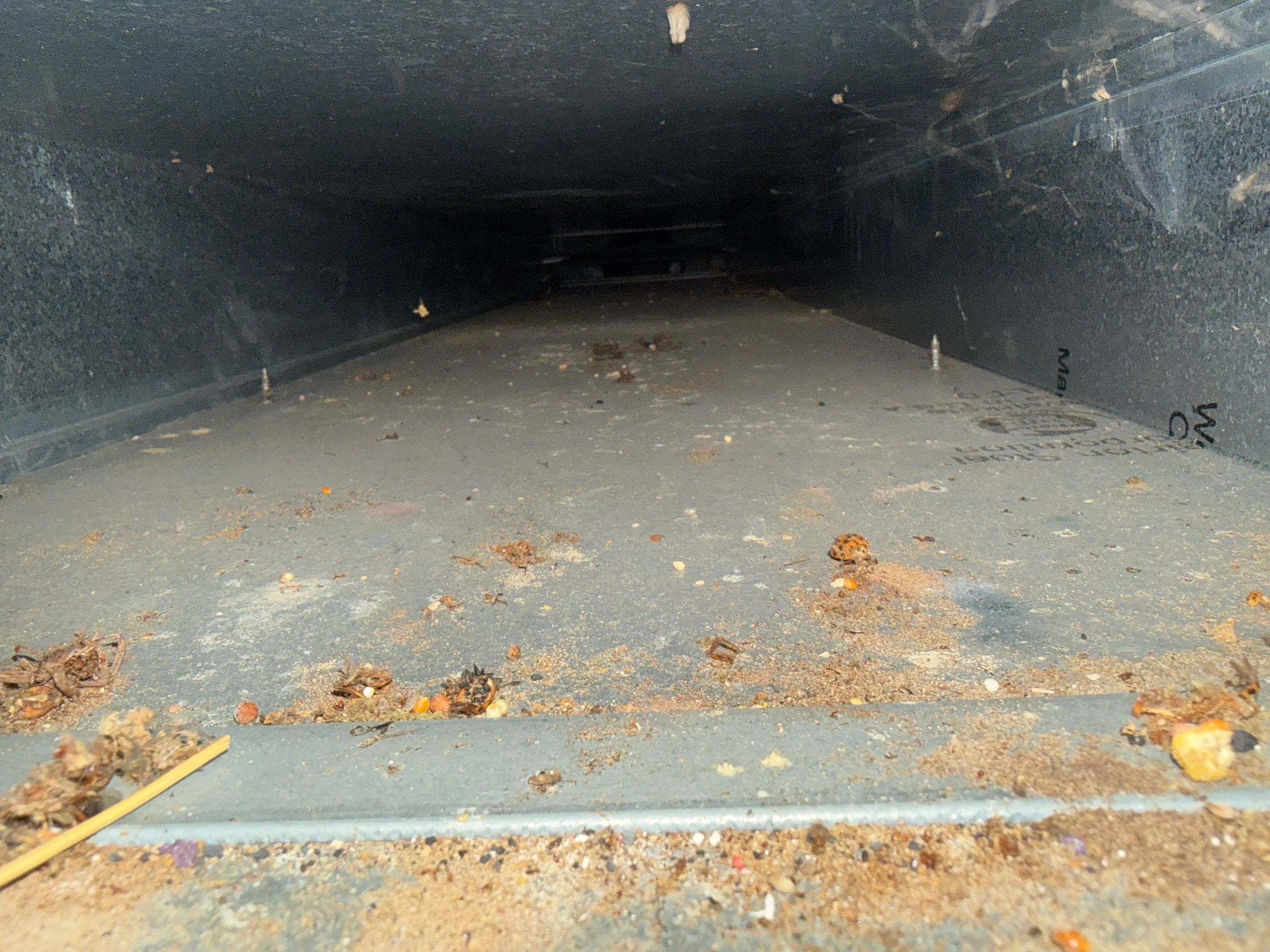 Duct Cleaning and Sanitization. by Elemental Heating and air conditioning LLC