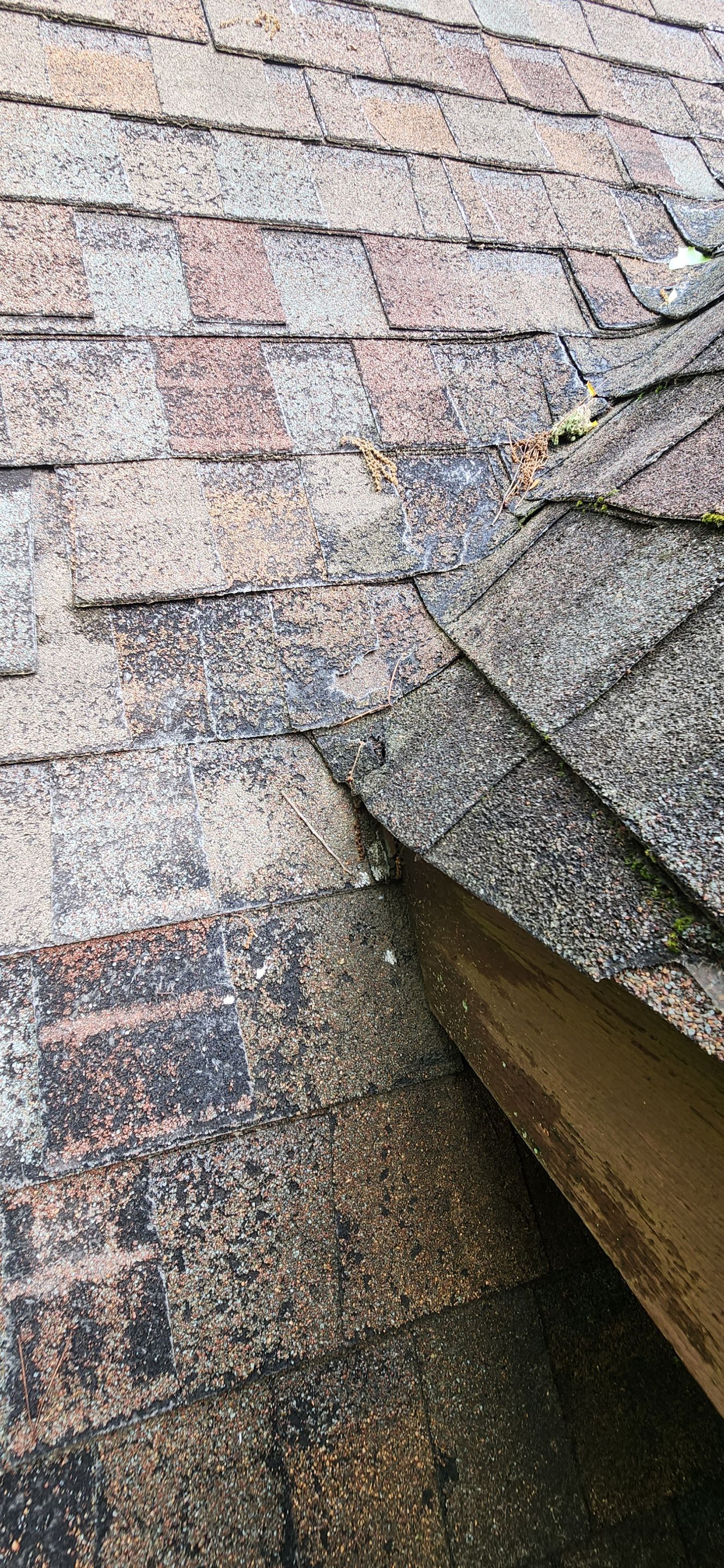 Residential Reroof: 40 Year Impact Rated Architectural Shingles by Hostetler Roofing