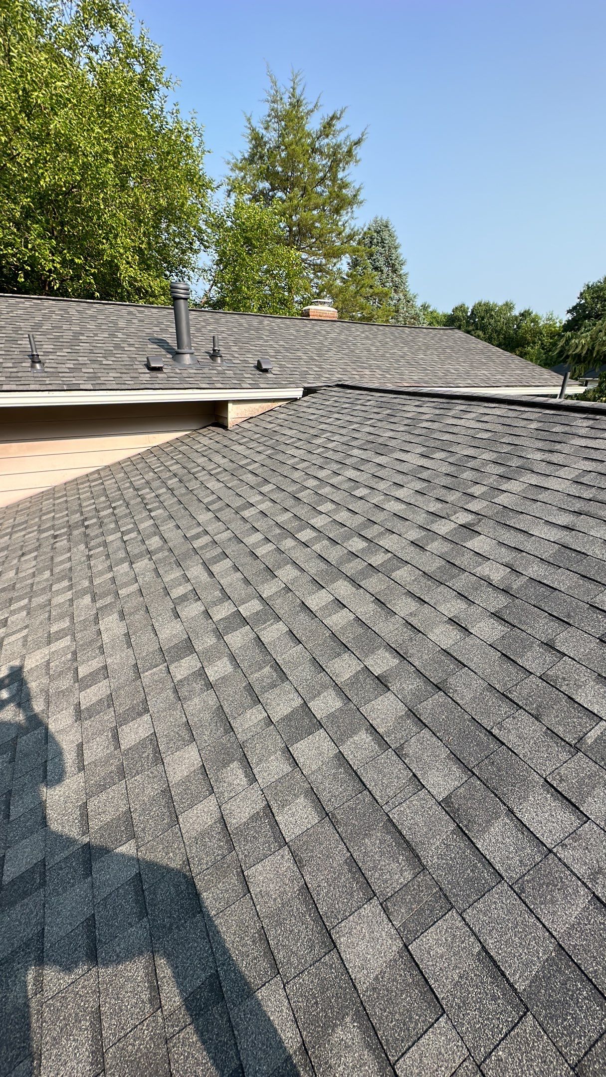 Vienna: CertainTeed Landmark Pro Architectural Shingles in Max Def Pewterwood by RM Banning, Inc.