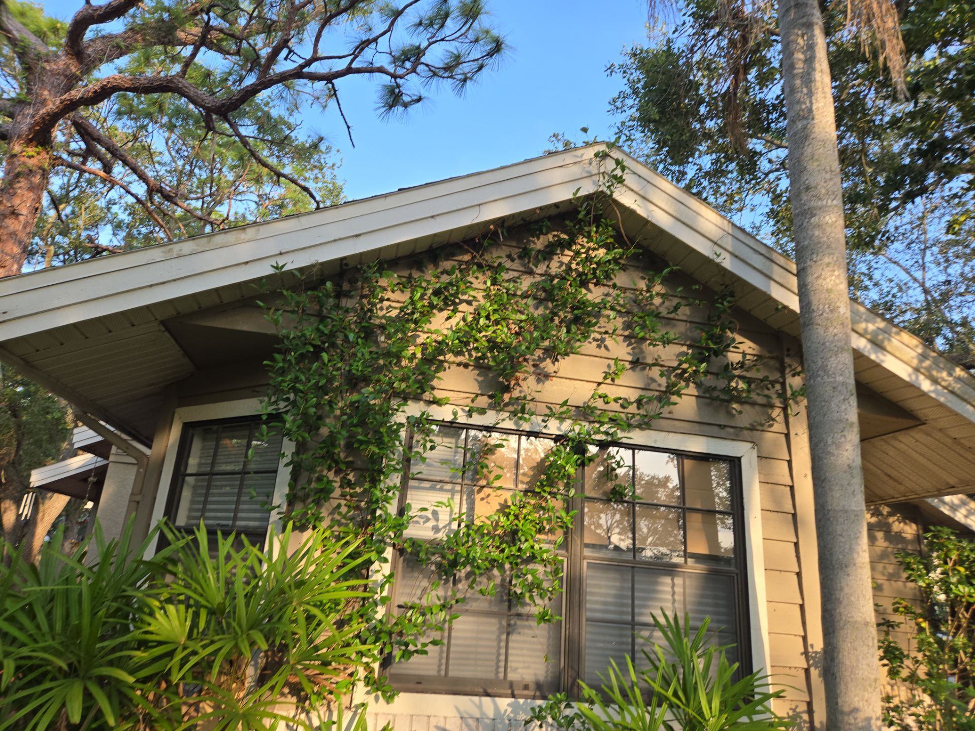 Project in Clearwater 33760 by Mitchell Roofing Company LLC 
