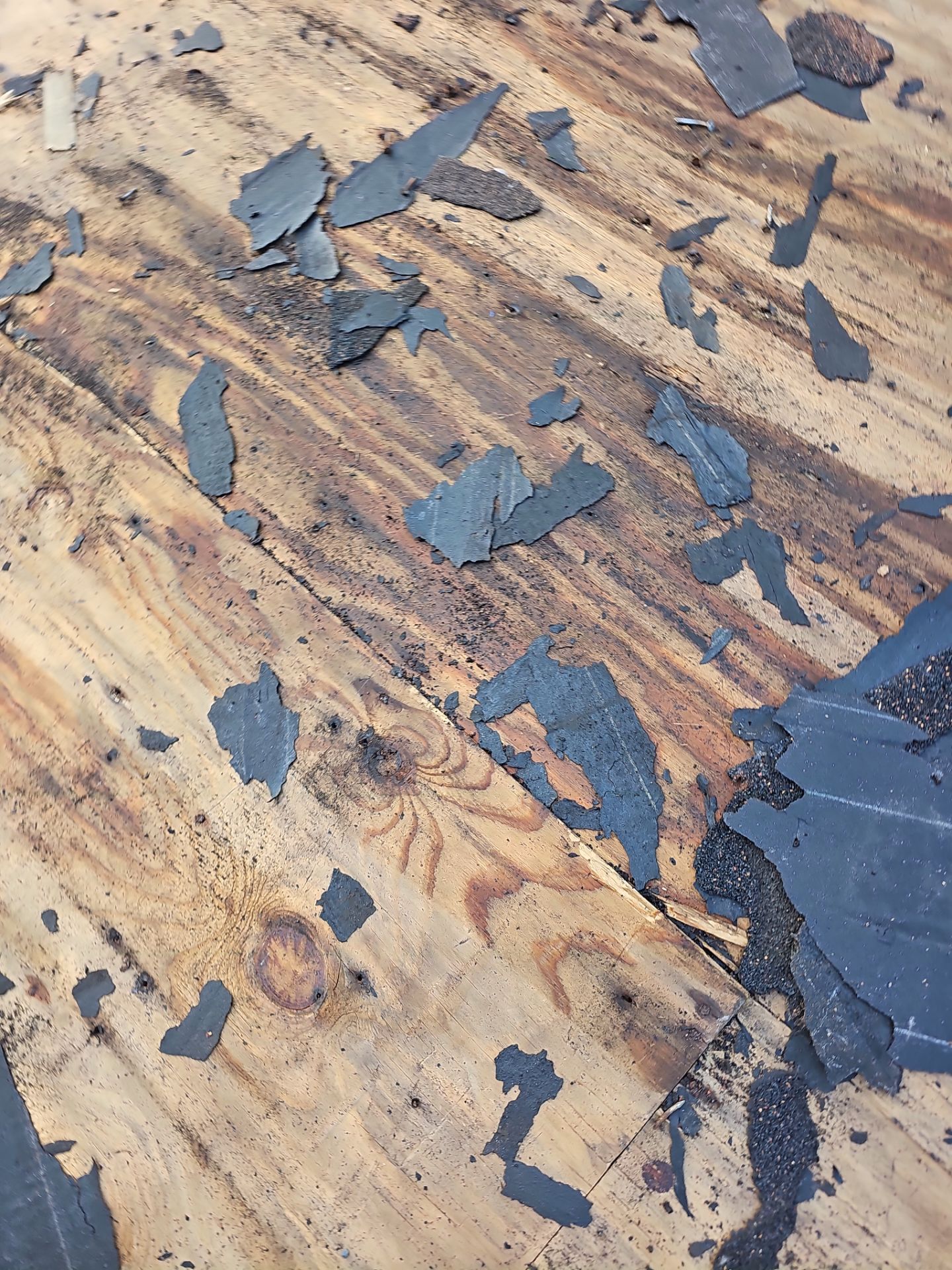 Roof Replacement - Shenandoah by Winchester Roofing