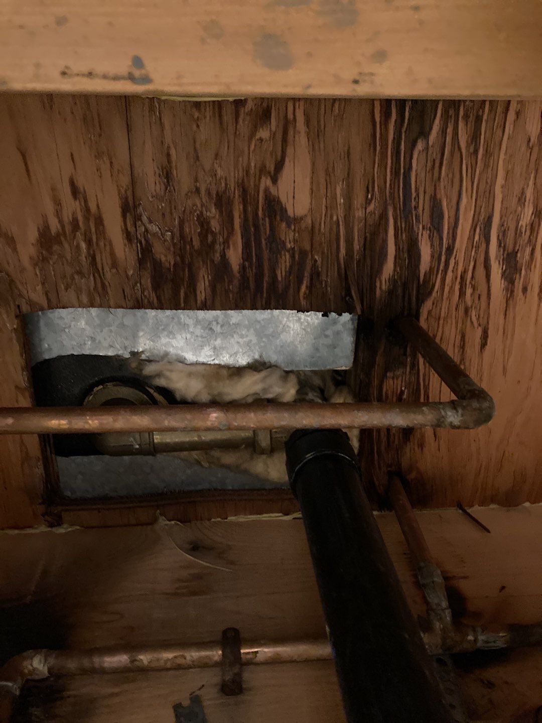 Mold Remediation using Containment by Accountable Home Services