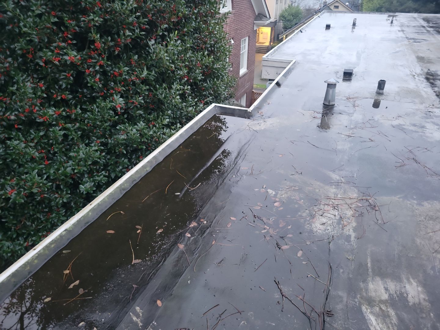 2025 Seattle Multi-Family Overlay by Alternative Roofing Systems Inc. 