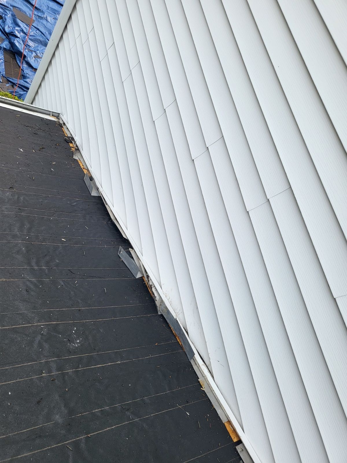 Davonne Bird by Silver Leaf Contracting 