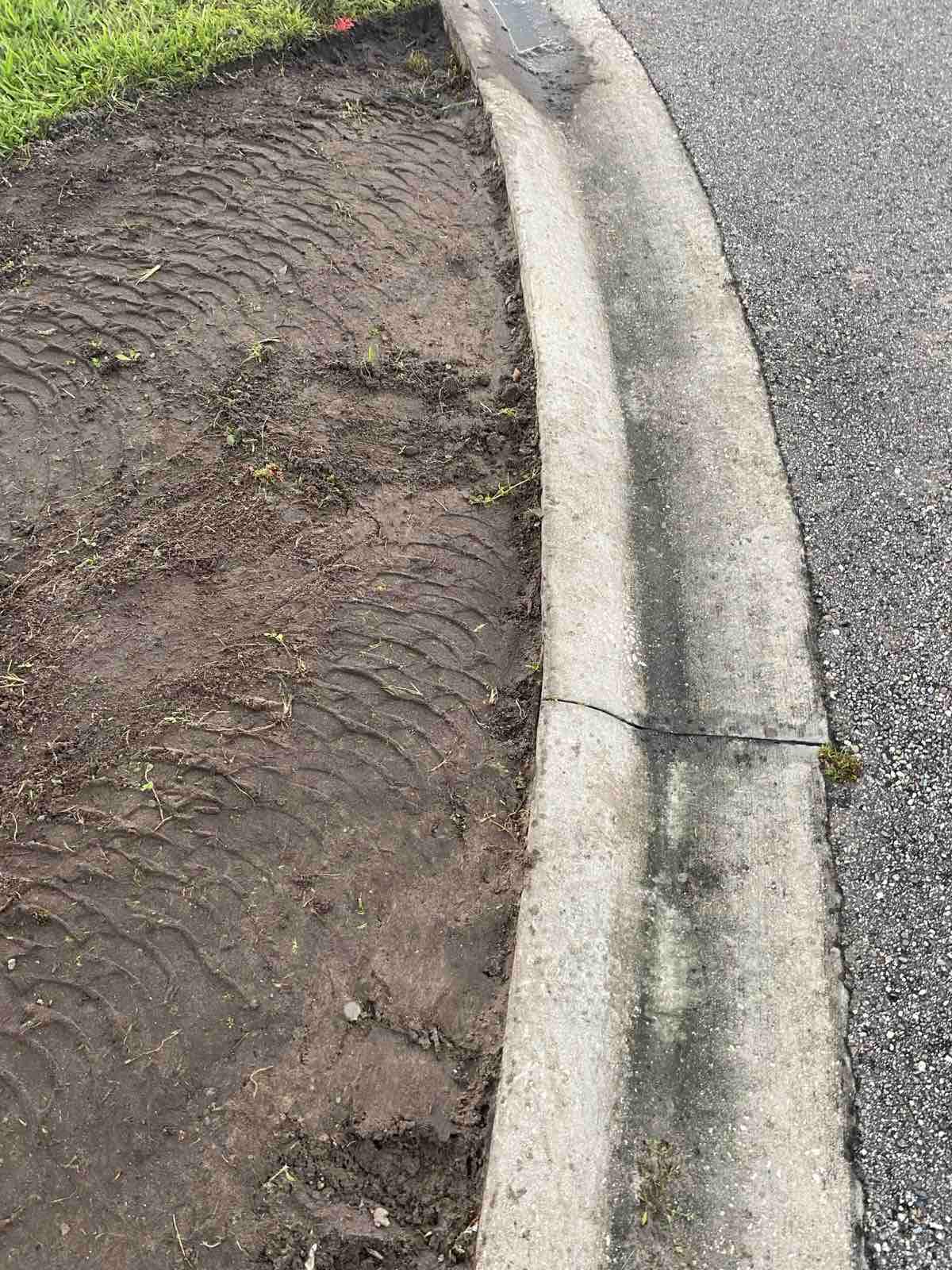 Sod Installation | Southside Jacksonville by ProGreen Services