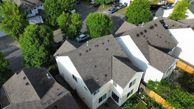 GAF Timberline HDZ, Barkwood