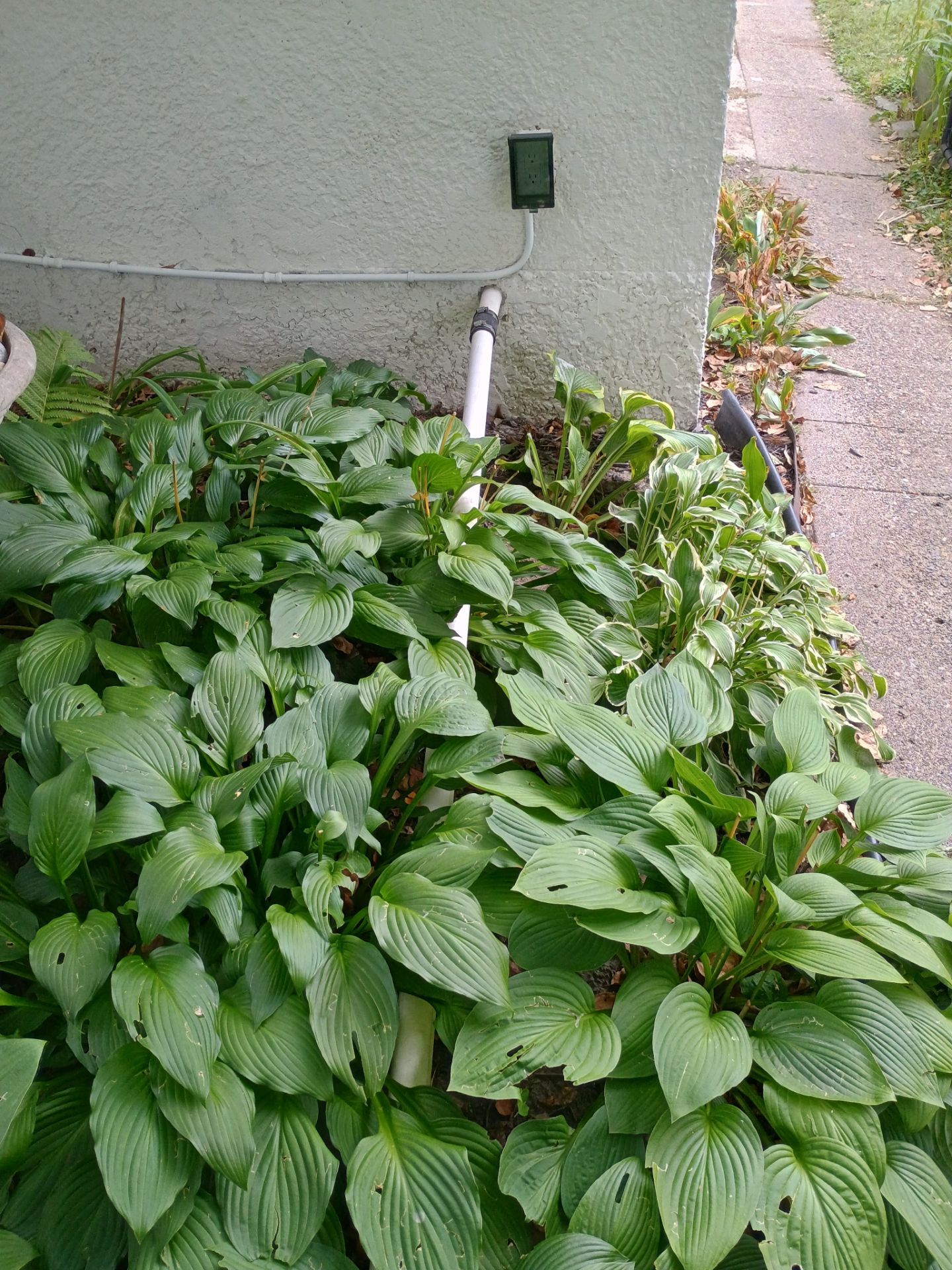 Another Drain Tile Project in the Books by Waterproofing Northeast