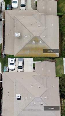 Roof Cleaning