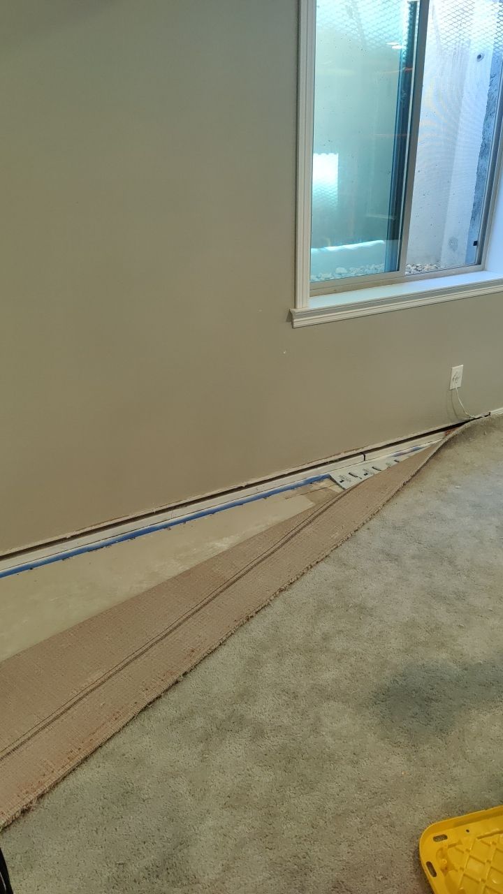 Mold Remediation  by Accountable Home Services