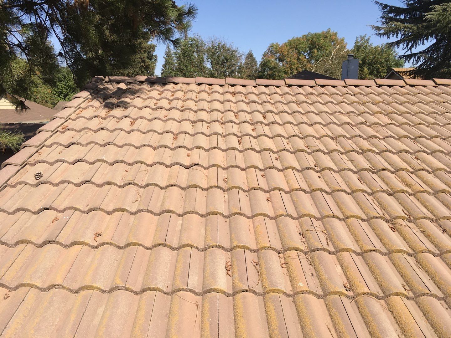 Tile roof remodel/ install OSB sheathing under tile and replace using OSB board with new underlayment, tile, and battens by Straight Edge Roofing Inc